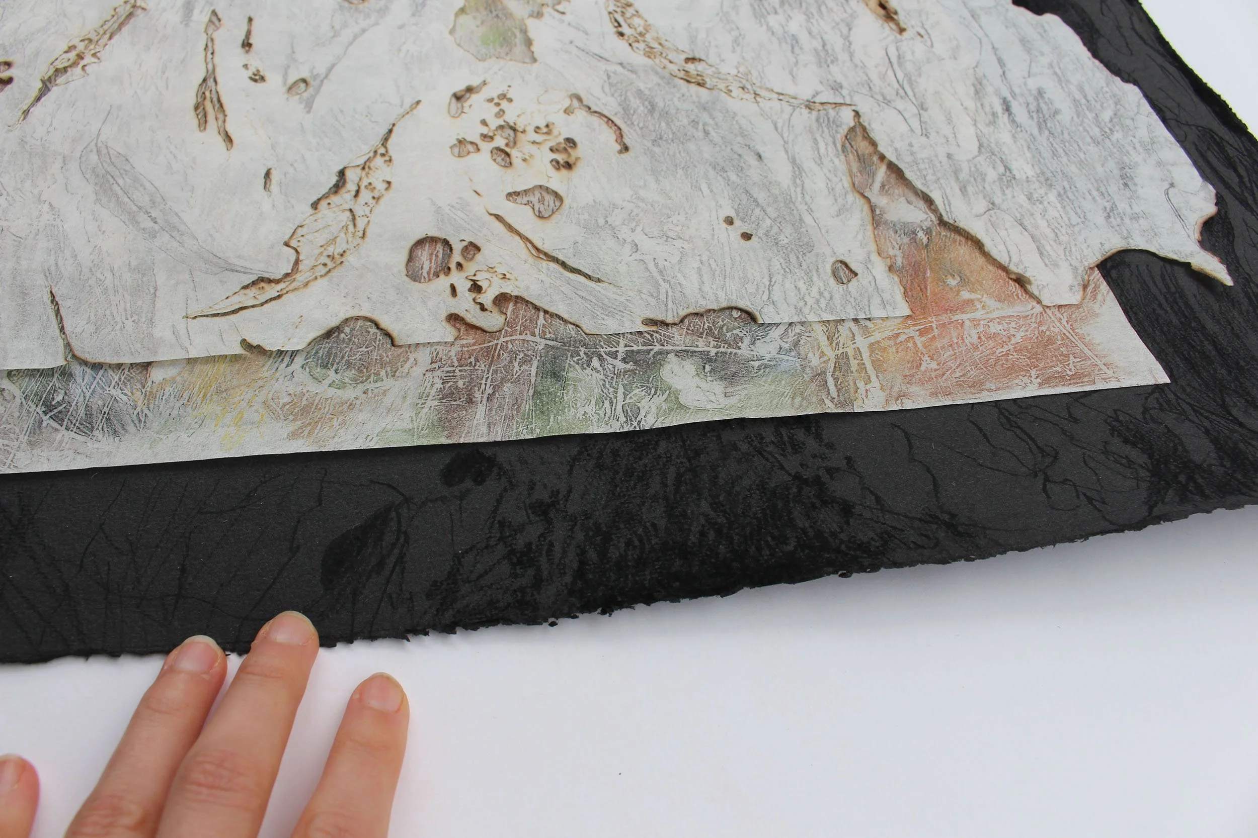Julie Mia Holmes_Leaf Litter mid detail 1_web.jpg