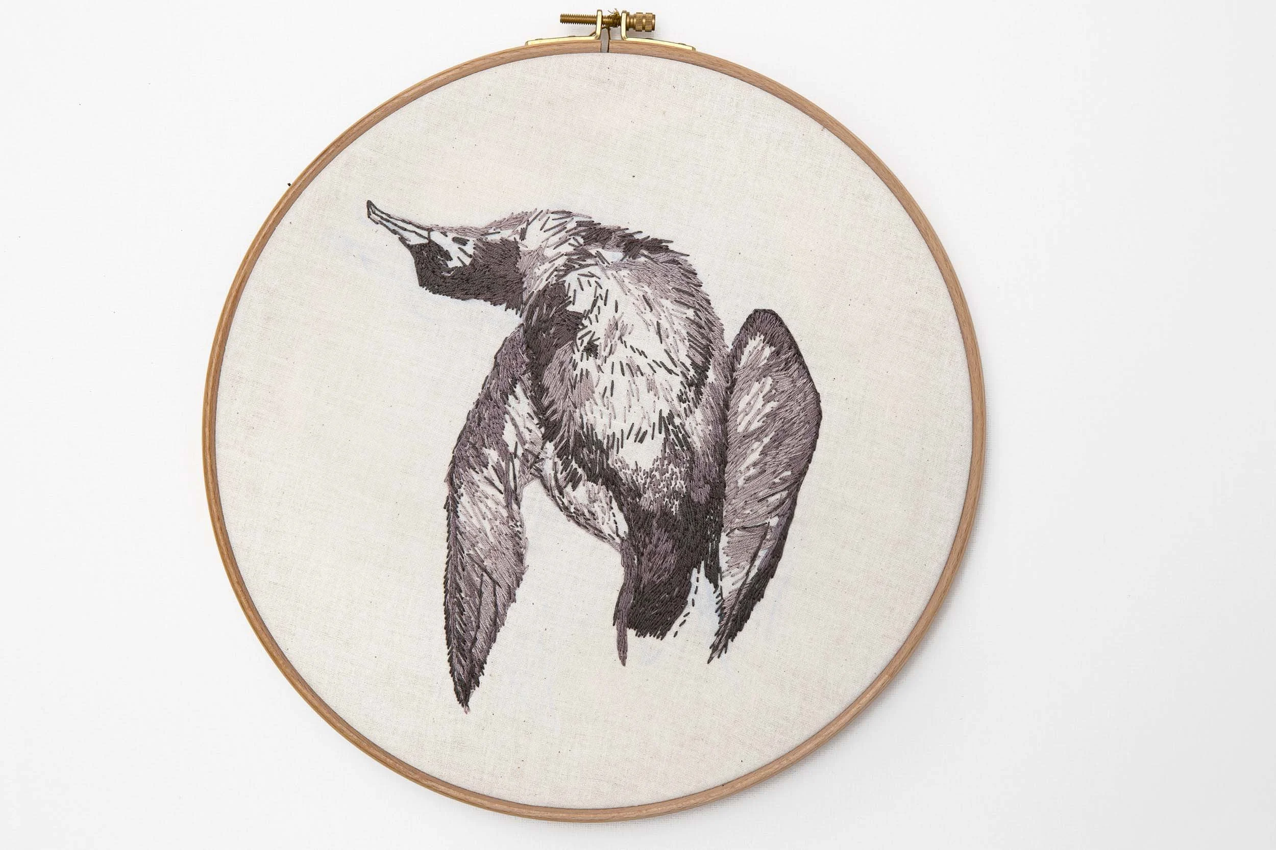 Shearwater II, 2014, Embroidery on calico, 26cm diameter