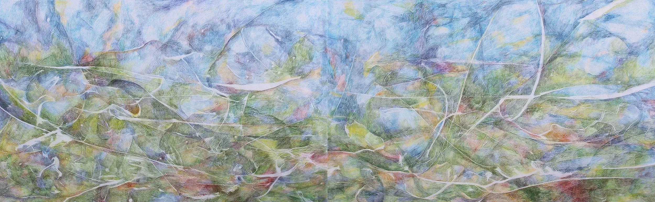 Dragonfly Summer, 2024, Coloured pencil frottage on kozo, 64 x 188cm