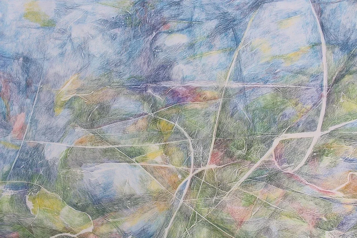 Dragonfly Summer, detail,  2024, Coloured pencil frottage on kozo, 64 x 188cm