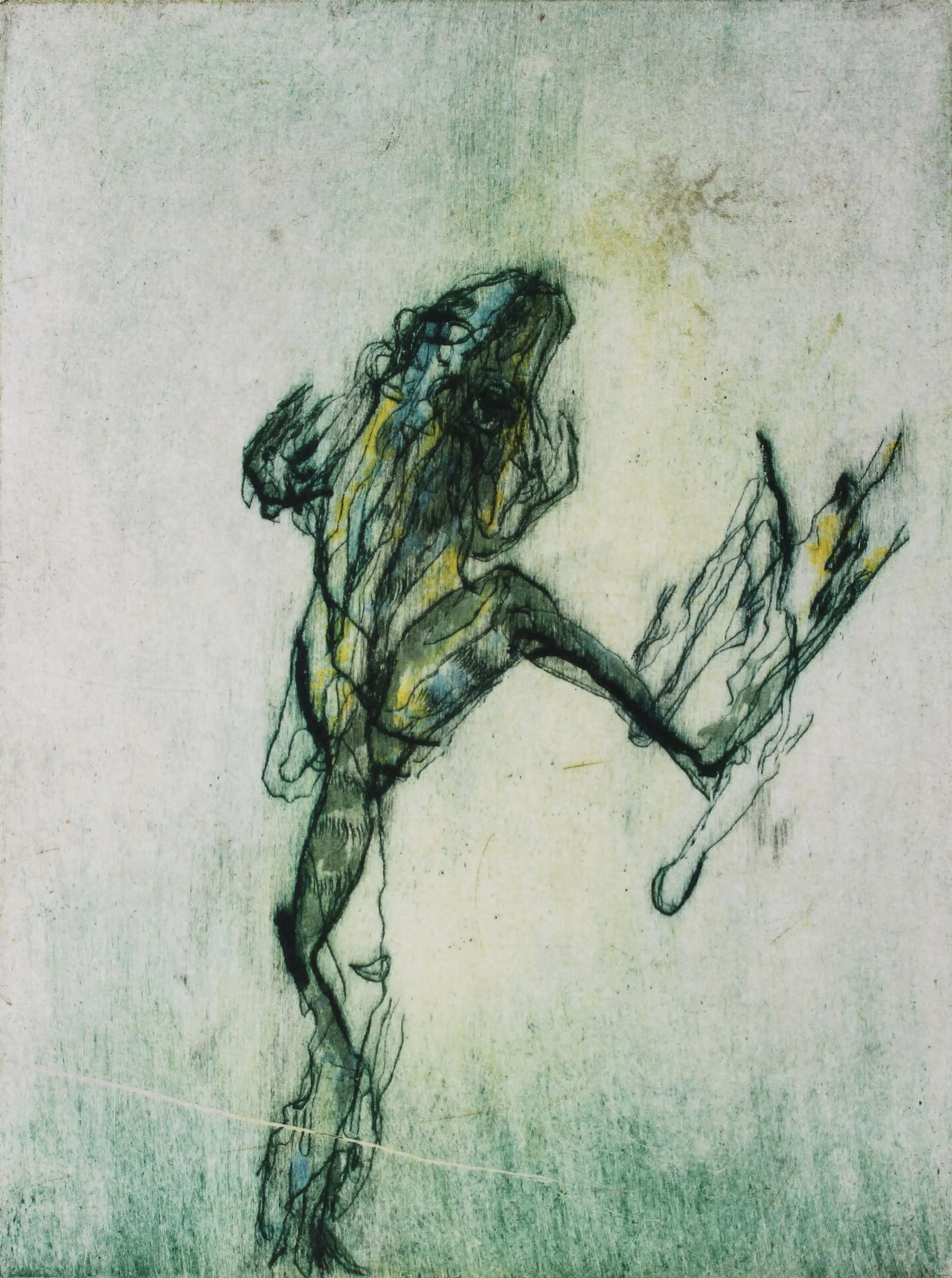 Julie Mia Holmes_Leap Frog 1_2022_drypoint etching with hand colouring and chen colle_36x25cm_web.jpg