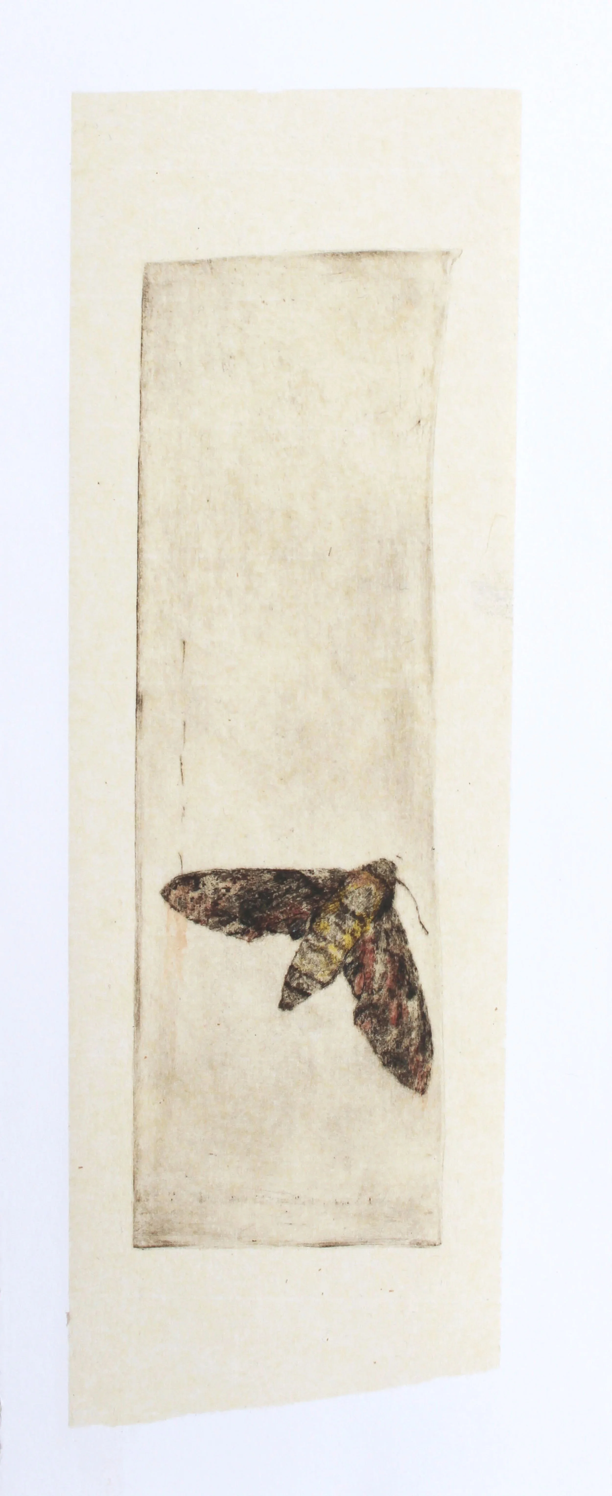 Like a Moth to a Flame, 2021, drypoint etching with hand colouring and chen colle, 18x50cm
