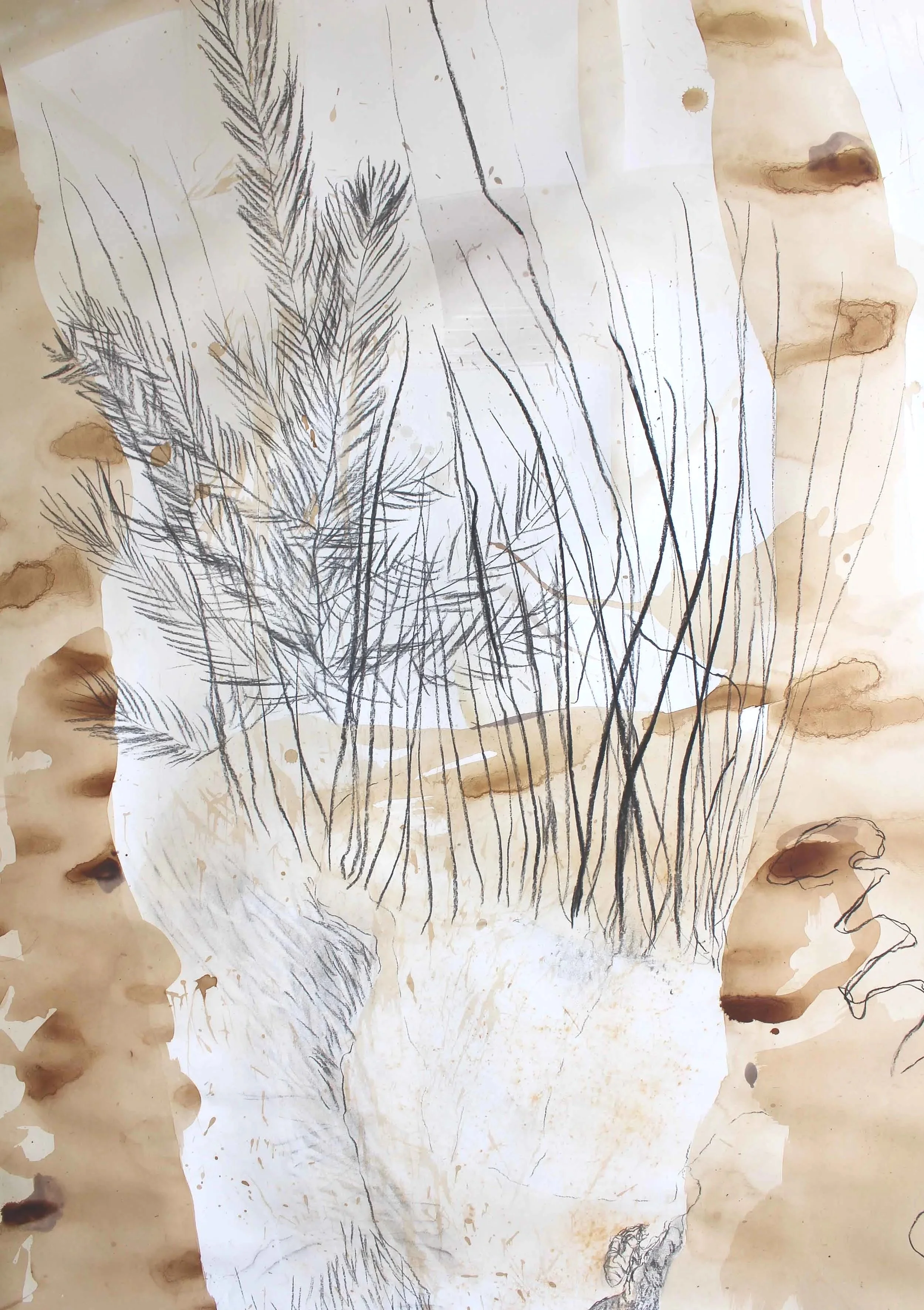 BigCi_big+drawing_detail2_web.jpg