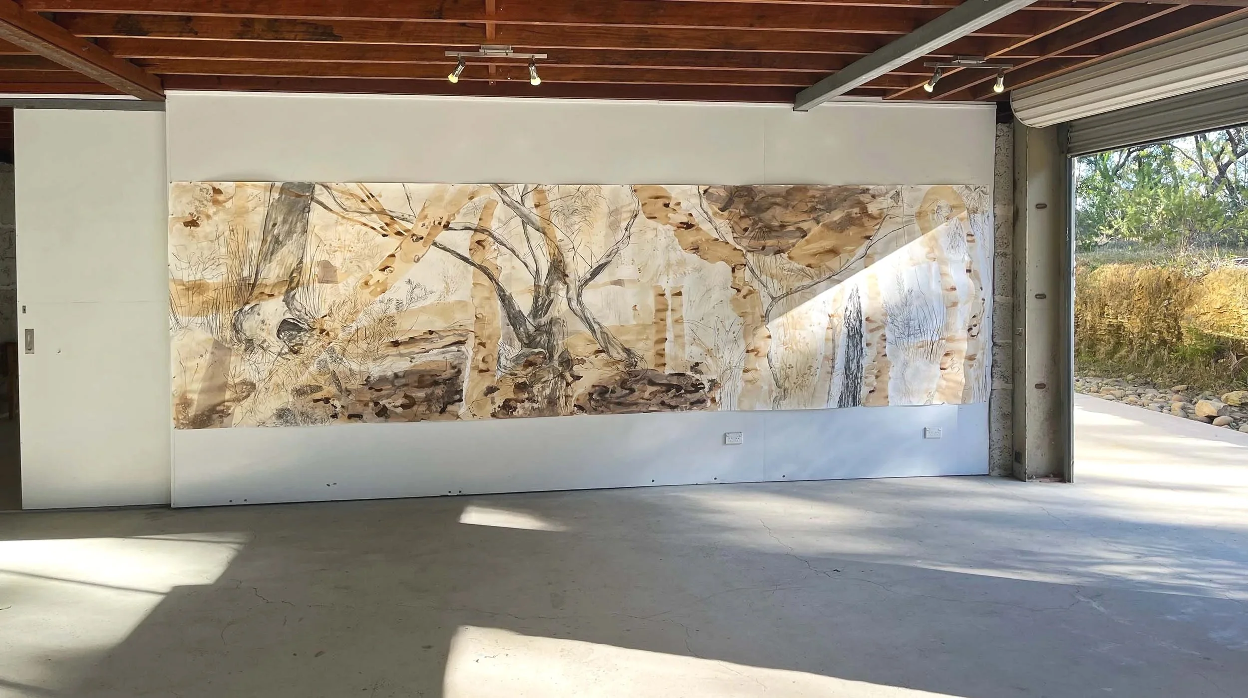 BigCi Residency, Wollemi Wanderings, 2025, Scribbly Gum bark ink, iron sulphate, ash and charcoal on canon paper,  5m x 1.5m
