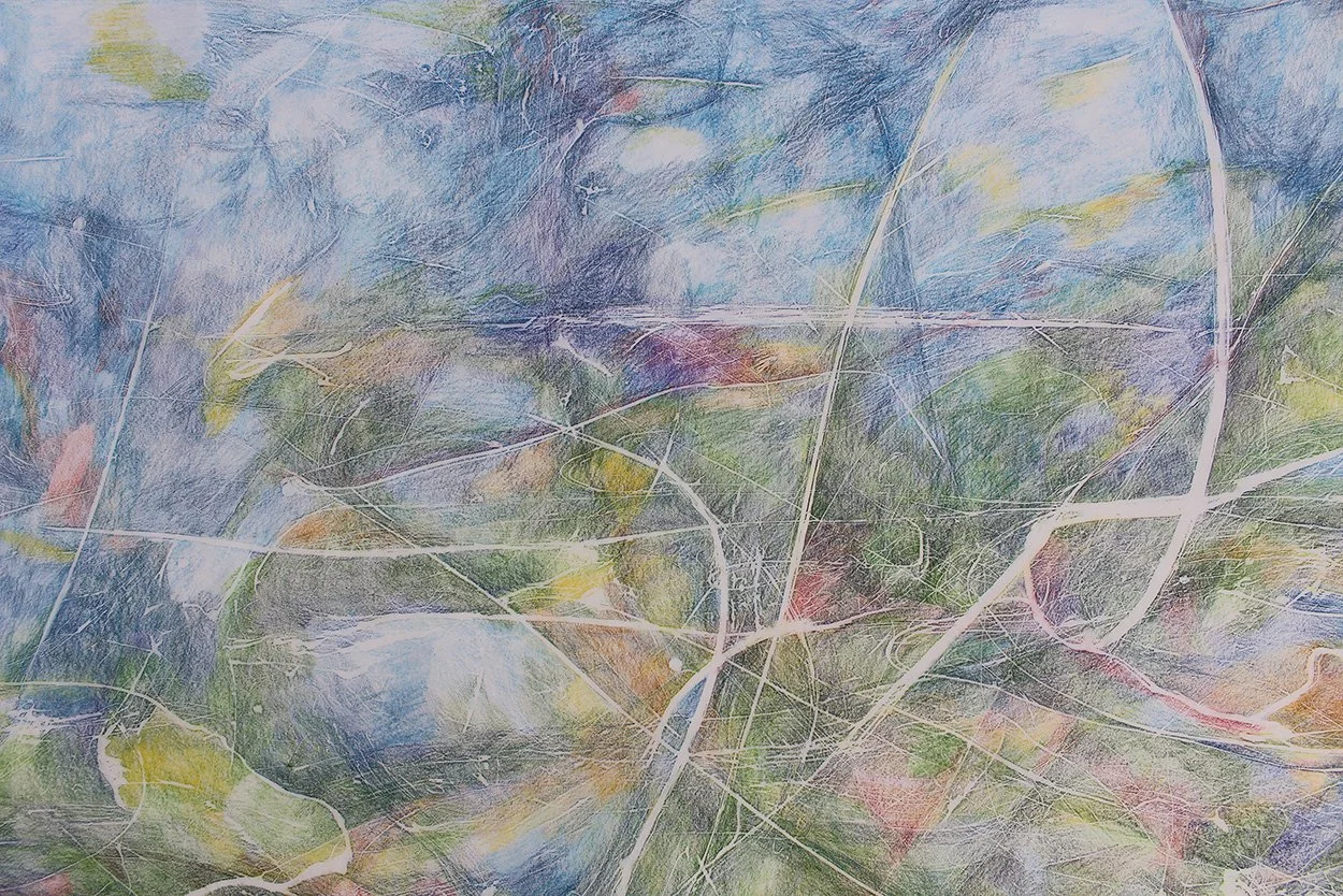 Dragonfly Summer, 2024