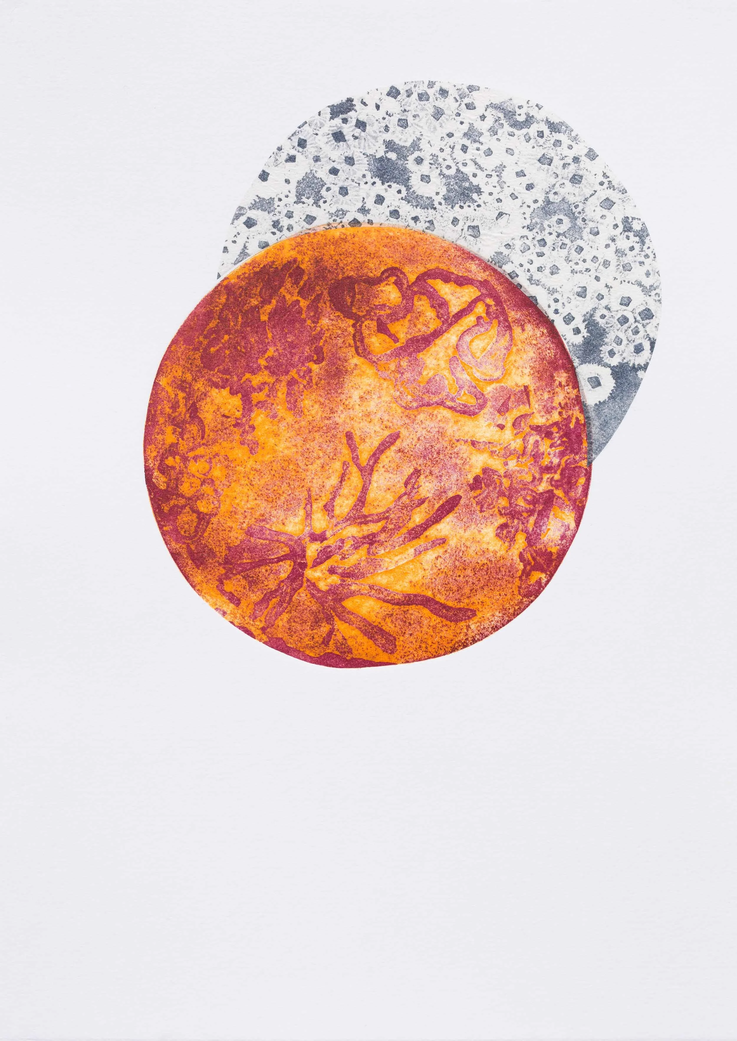 Holy Barnacles!, 2018, etched linocut with photo etching and chen colle, 25x35cm
