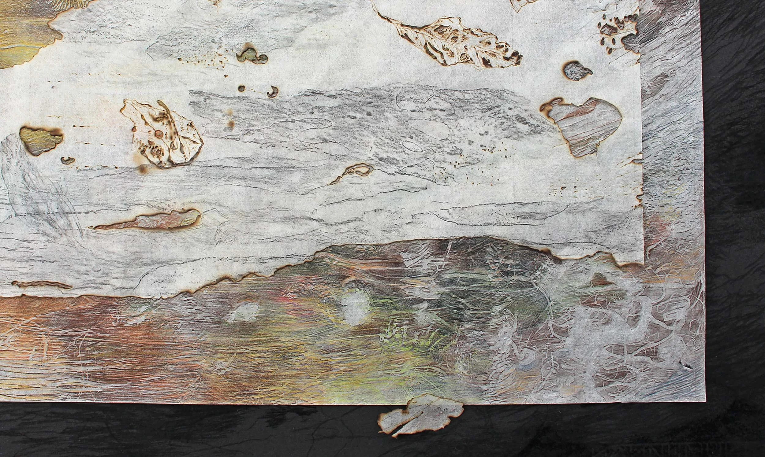 Leaf Litter, 2023