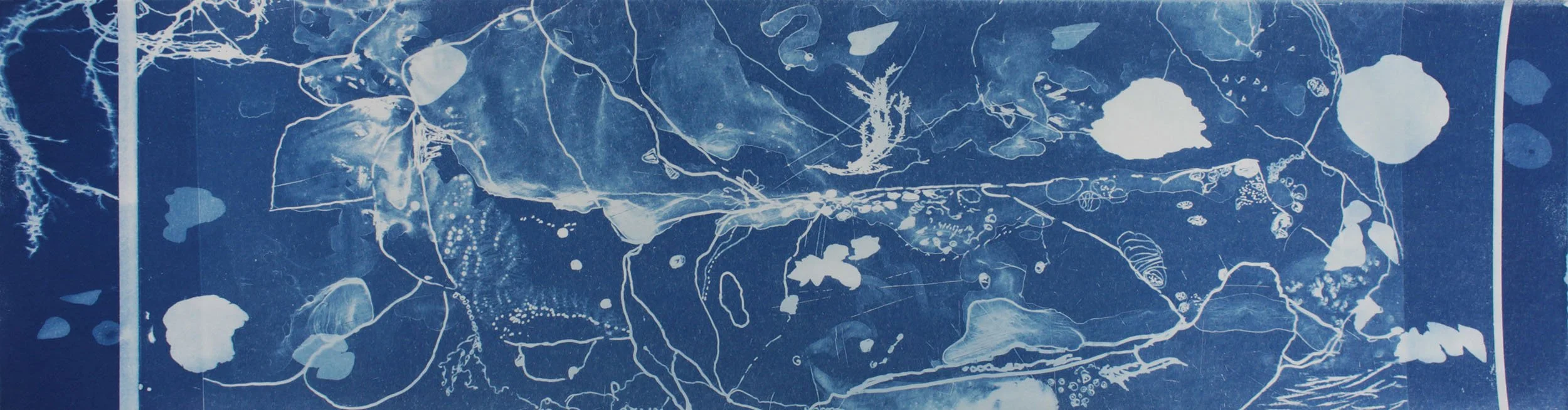 Blueprint IV, 2018, Cyanotype on Magnani, 54x14cm 