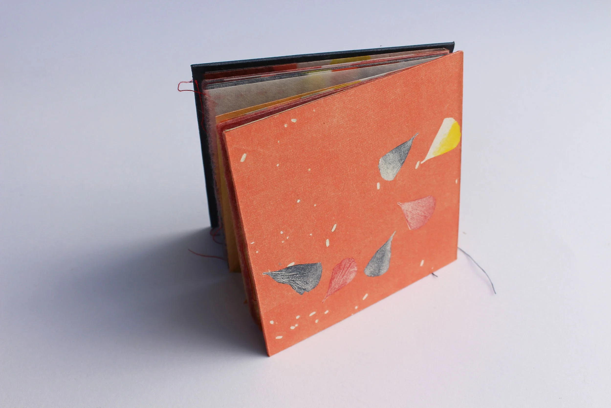 Lotus pink cover_web.jpg