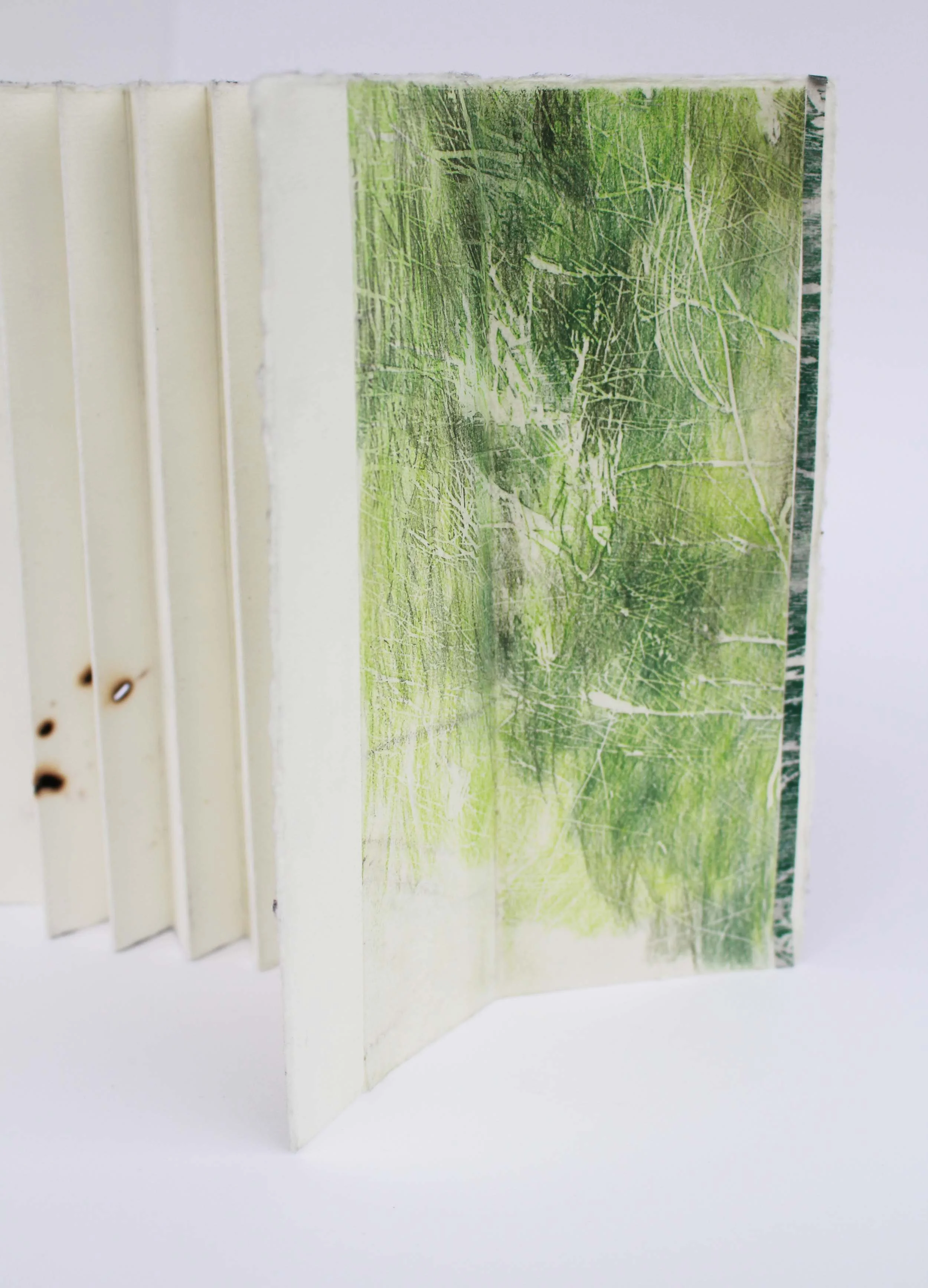 Flagging_standing_burn holes green_web.jpg