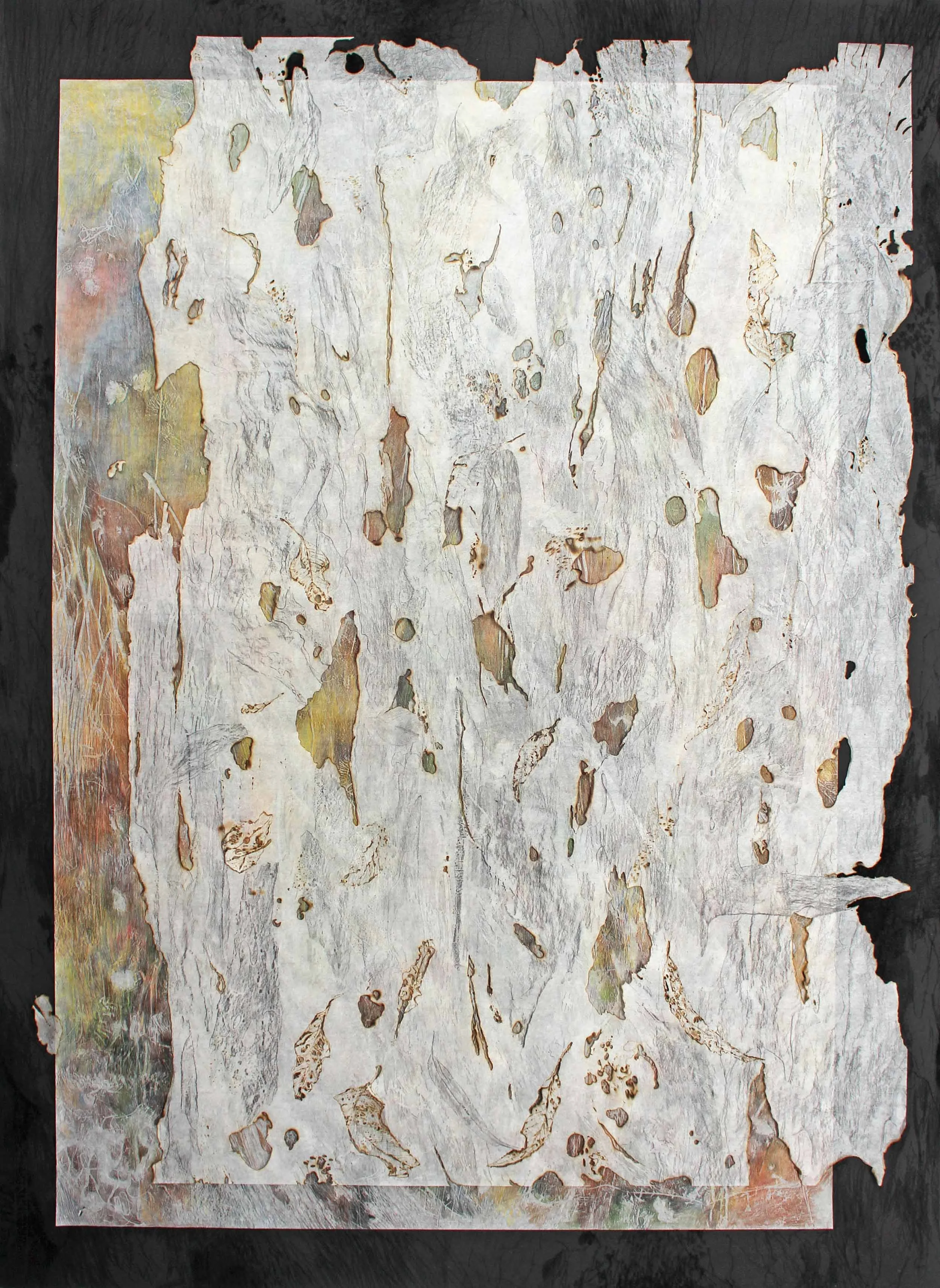 Leaf Litter, 2023, frottage, charcoal, soldering iron and coloured pencil on kozo extra light & hahnemuhle, 1007 x 780cm