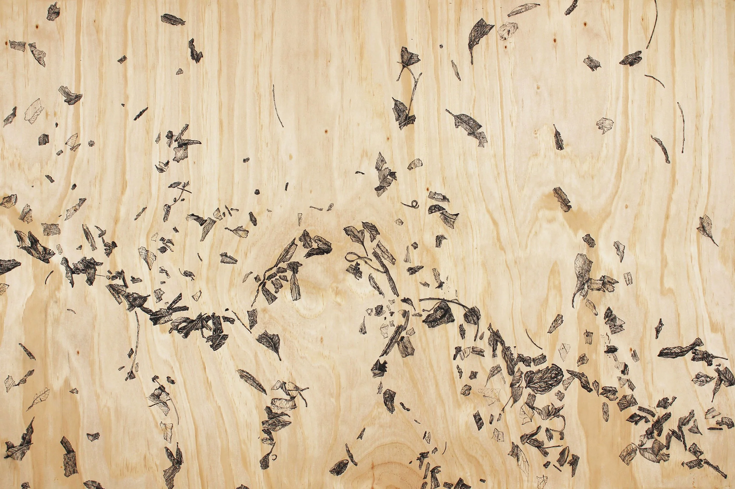 Fire Tide, 2020, charcoal on plywood, 122x81cm 