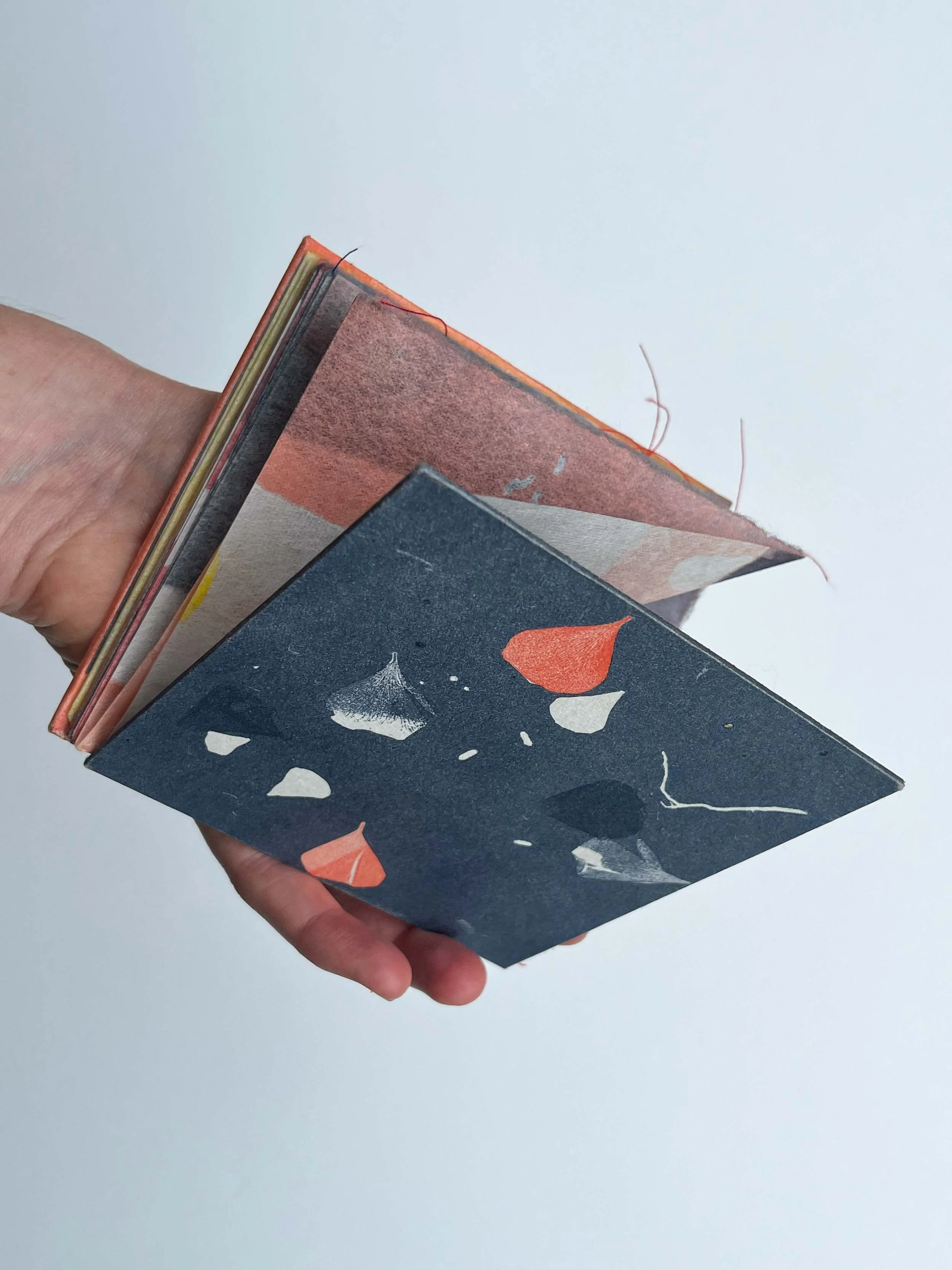 Lotus blue cover hand_web.jpg