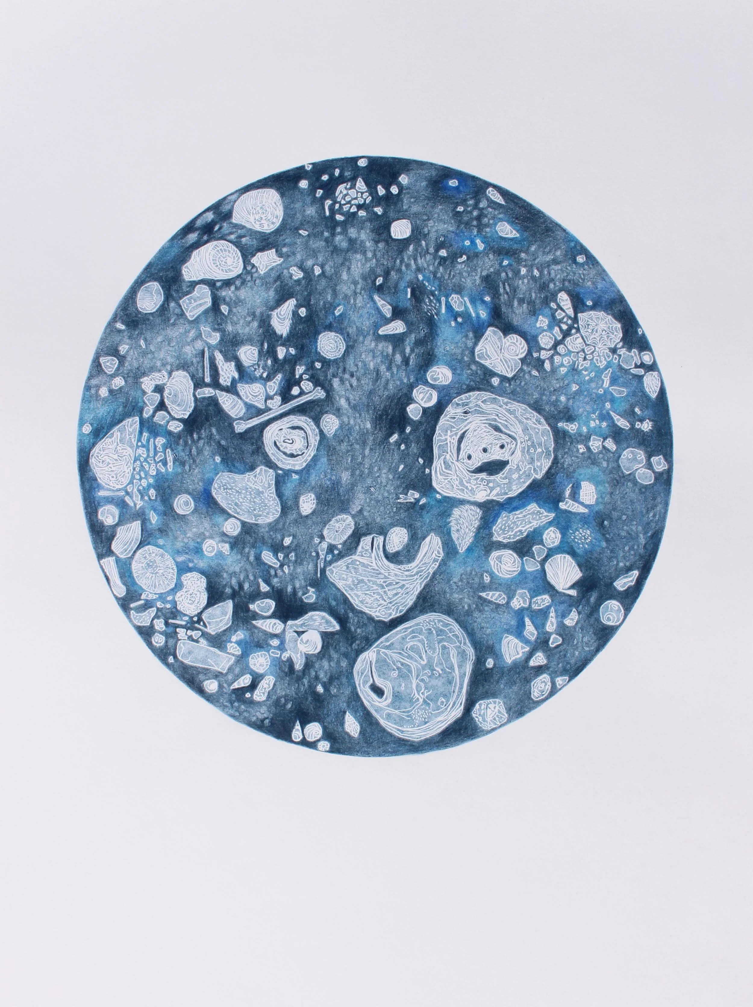 Cosmos, 2018, linocut with coloured pencil, 50x70cm (37cm diameter)