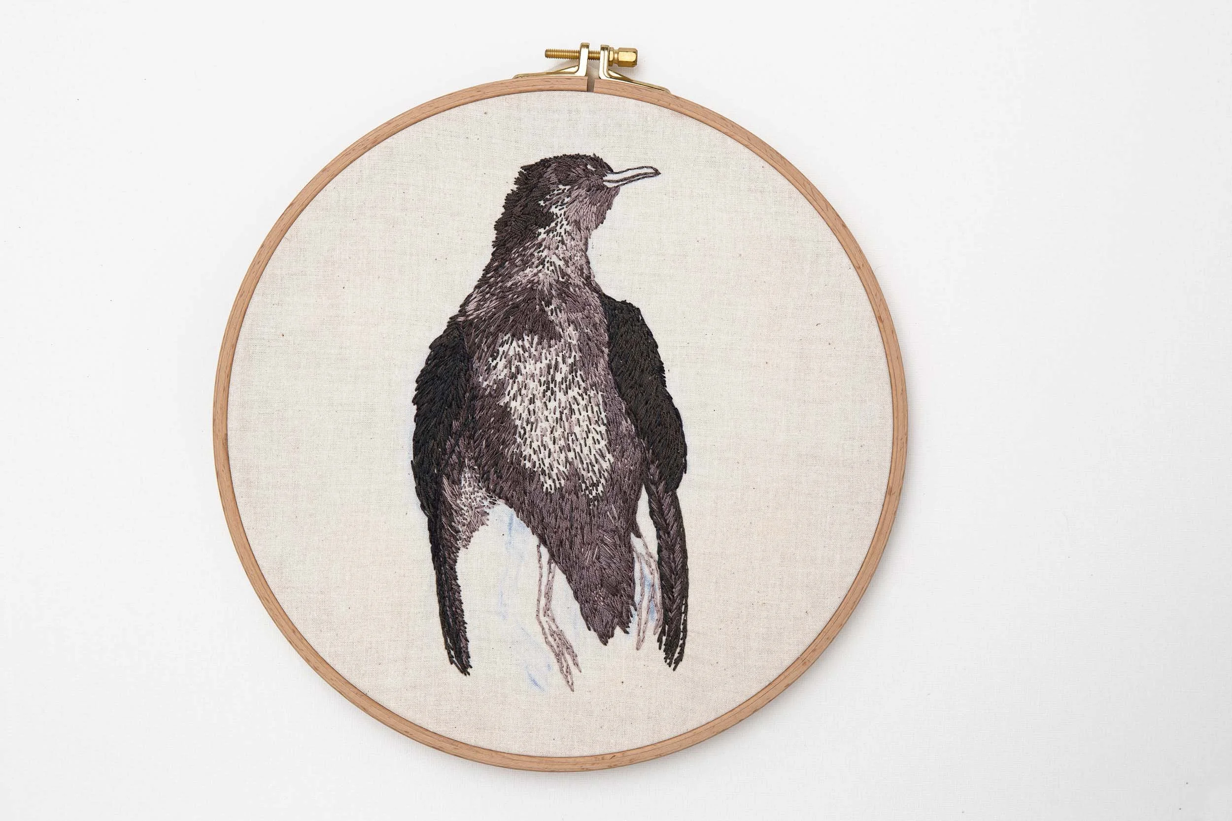 Shearwaters, 2014