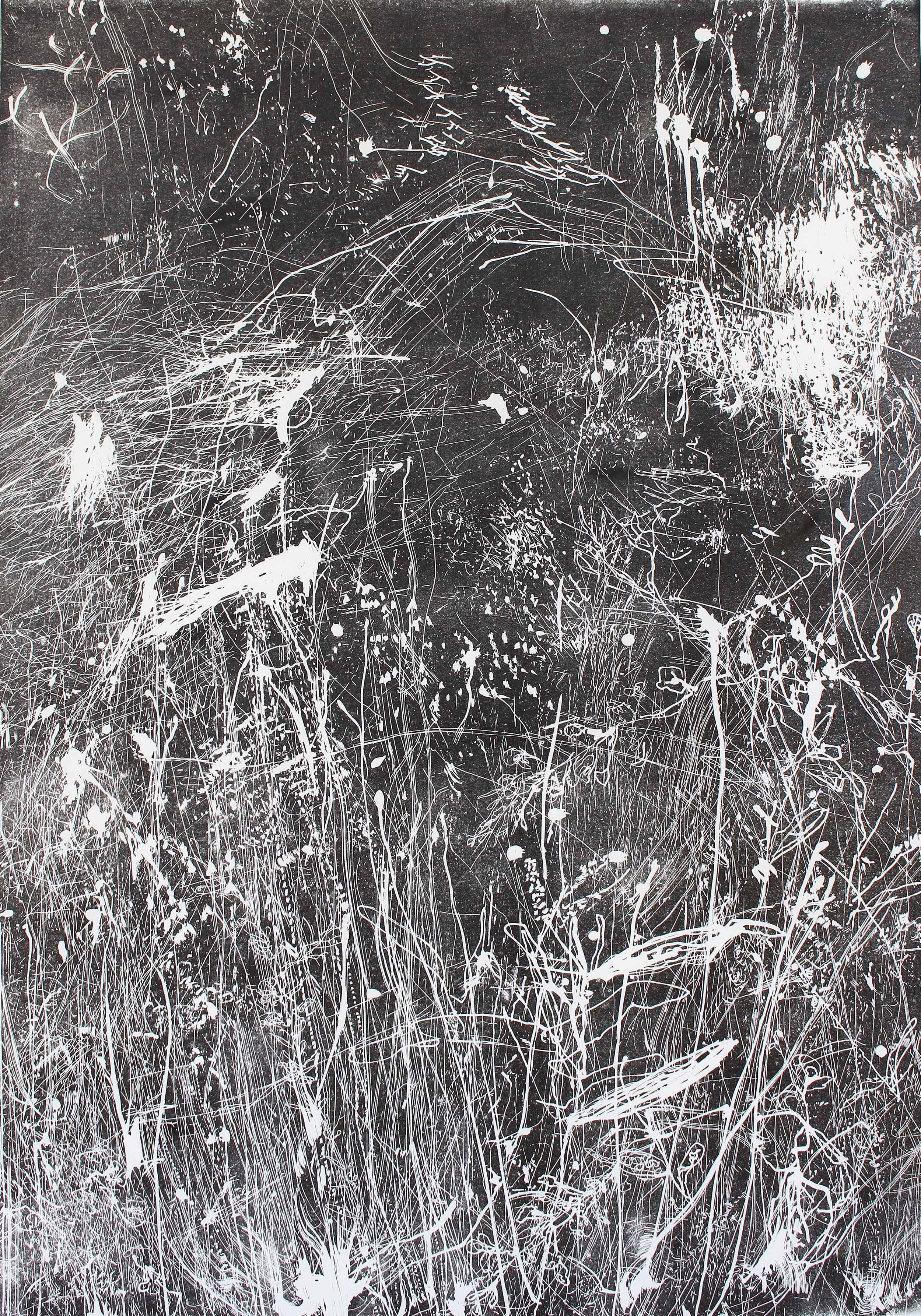 Relief Print II (Wallaby Grass), 2021, Linocut on kozo, 90 x 70cm