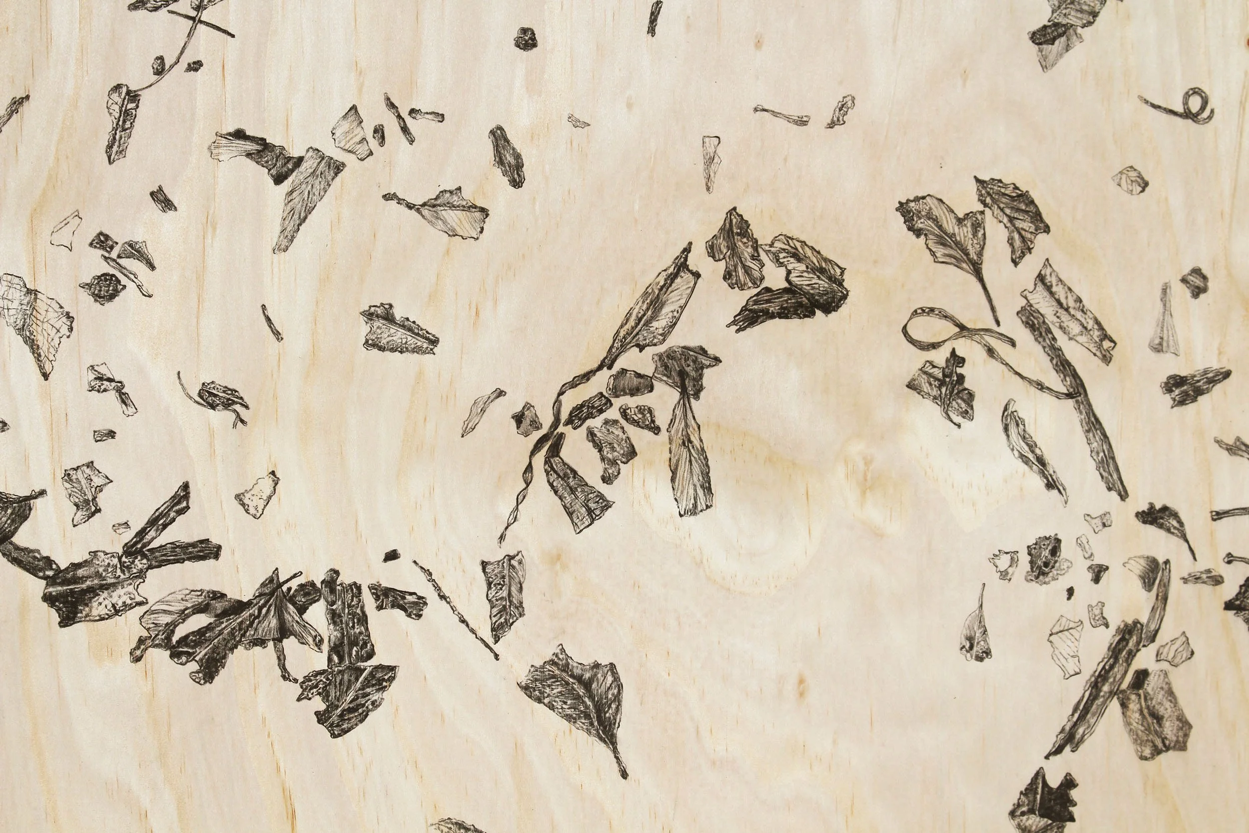 Fire Tide, detail, 2020, charcoal on plywood, 122x81cm