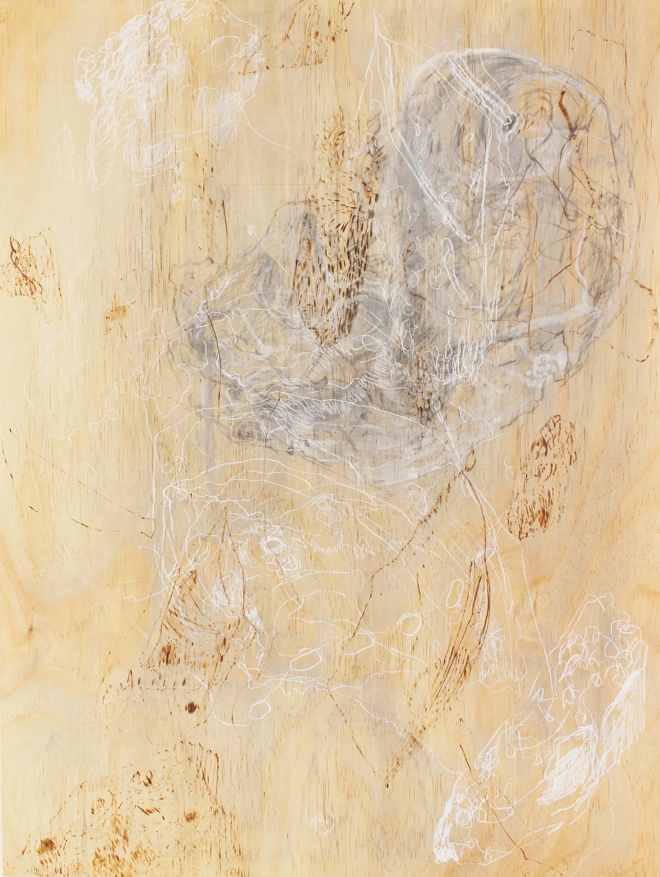 Ashes to Ashes, 2020, gouache chinagraph and soldering iron on plywood, 60x80cm