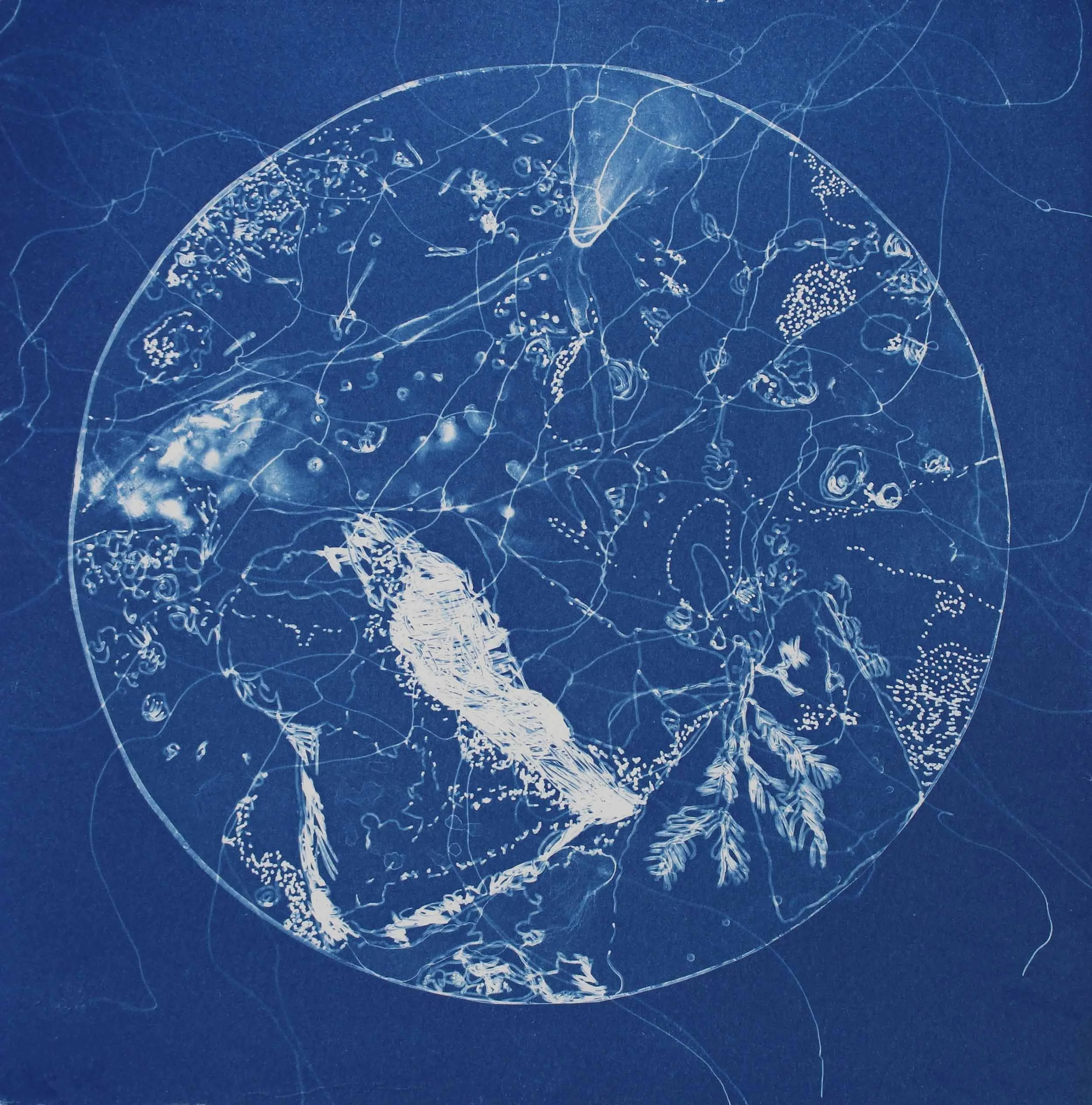 Small World III, 2018, cyanotype on magnani, 18.5x18.5cm