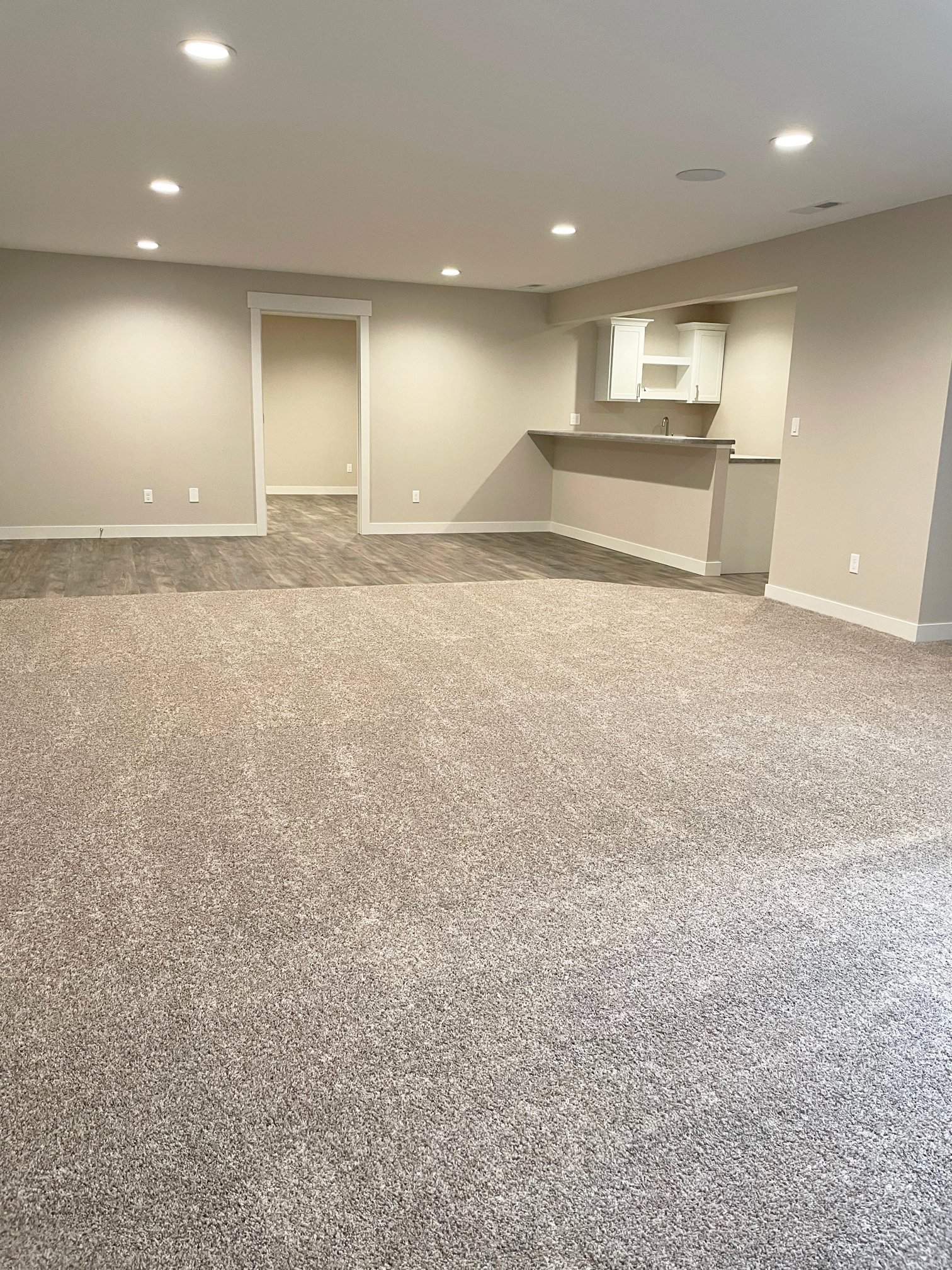 1392-Timberlake-Dr.-basement-2.jpg