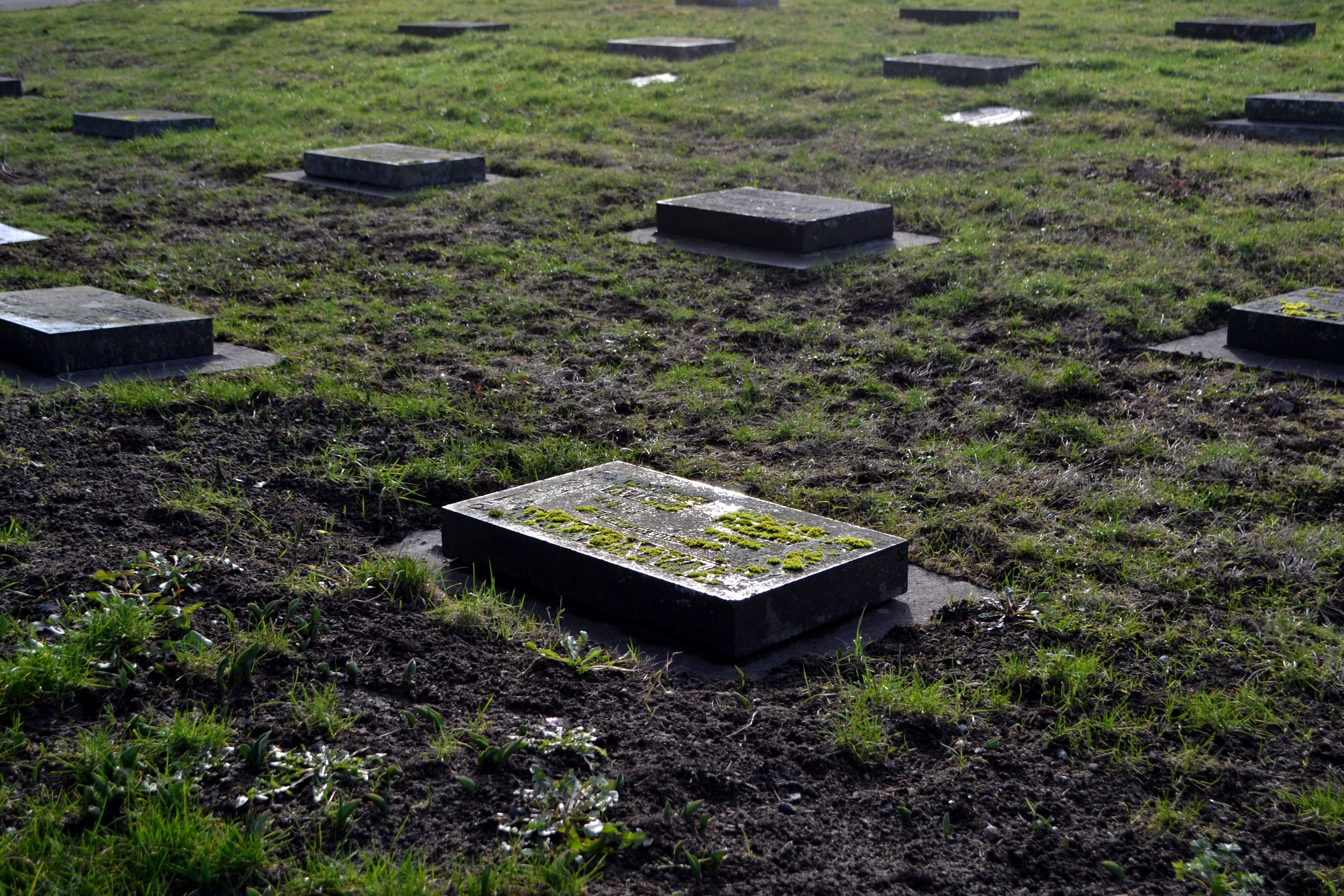 Untitled, 2022/2024, edited photography, size variable / 39 x 26 cm