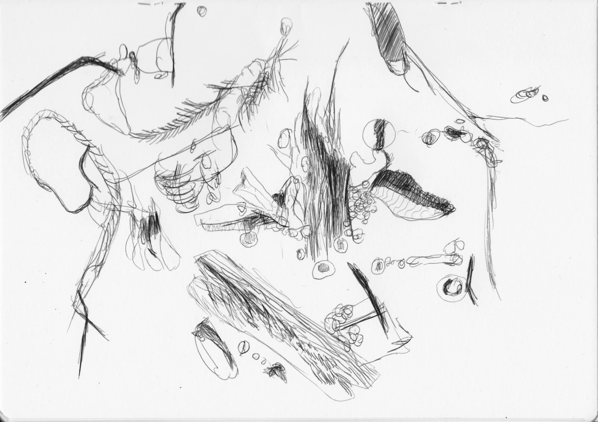 Untitled, 2021, edited drawing, size variable / 66,1 x 46,8 cm