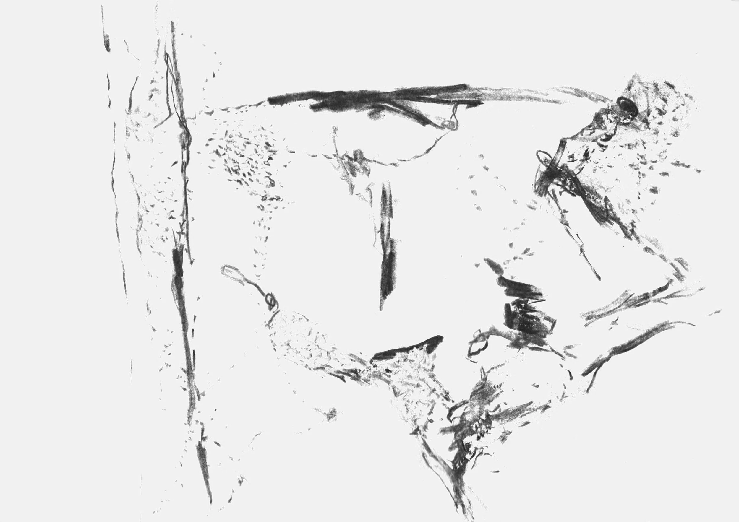 Trace_2, 2020/2024, edited drawing, size variable / 66,1 x 46,8 cm