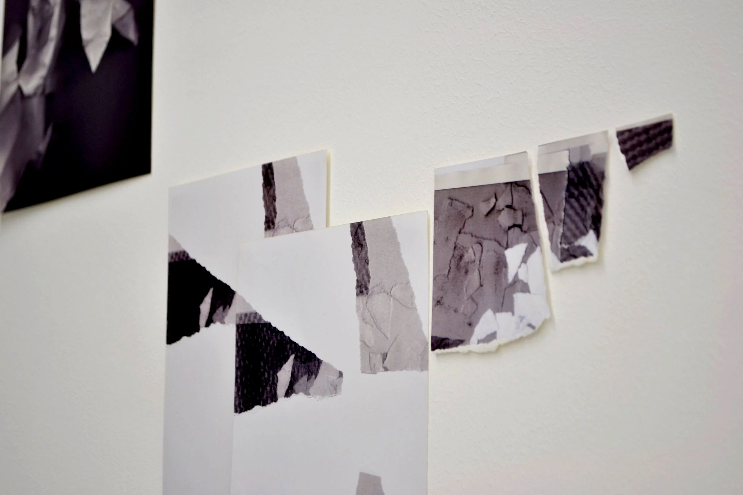 Re.trace, 2019, installation, size variable