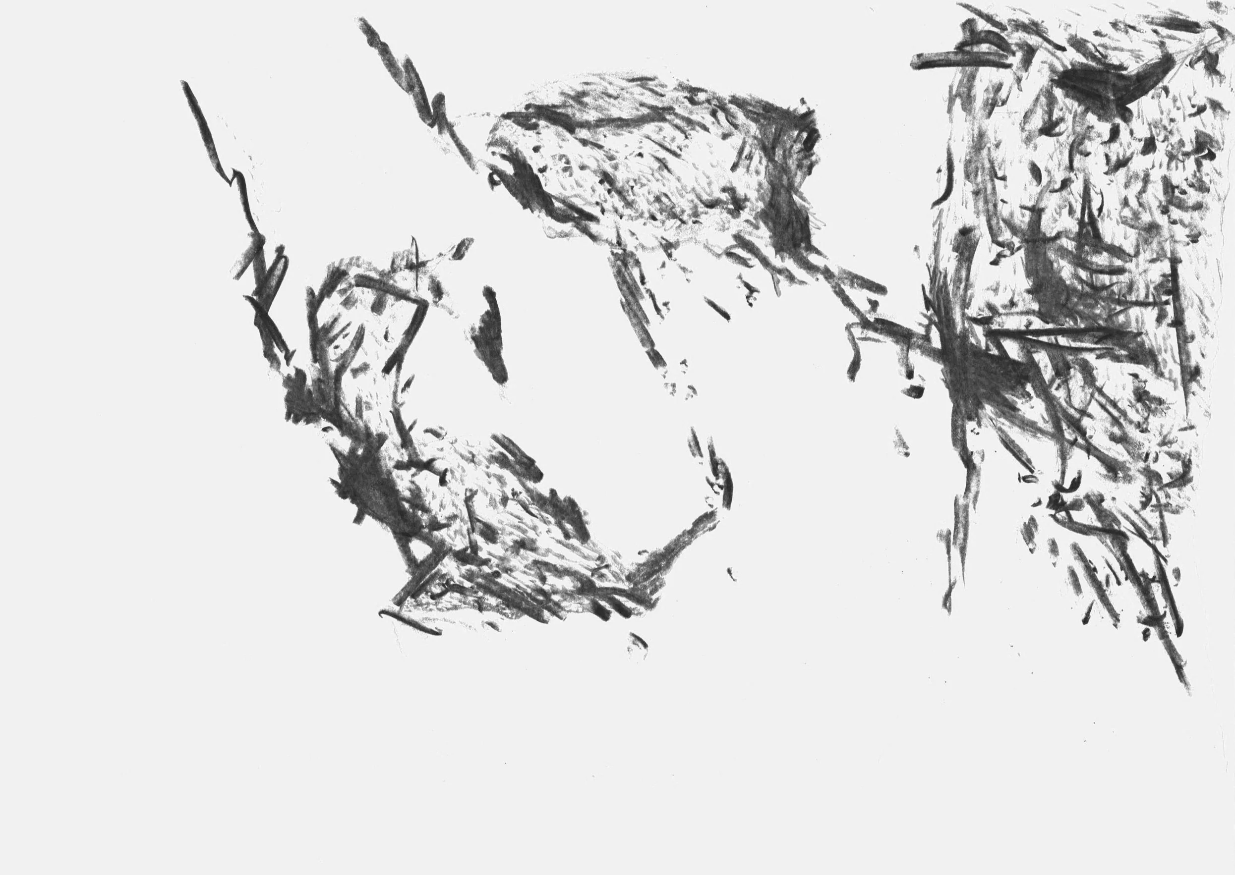 Trace_4, 2020/2024, edited drawing, size variable / 66,1 x 46,8 cm