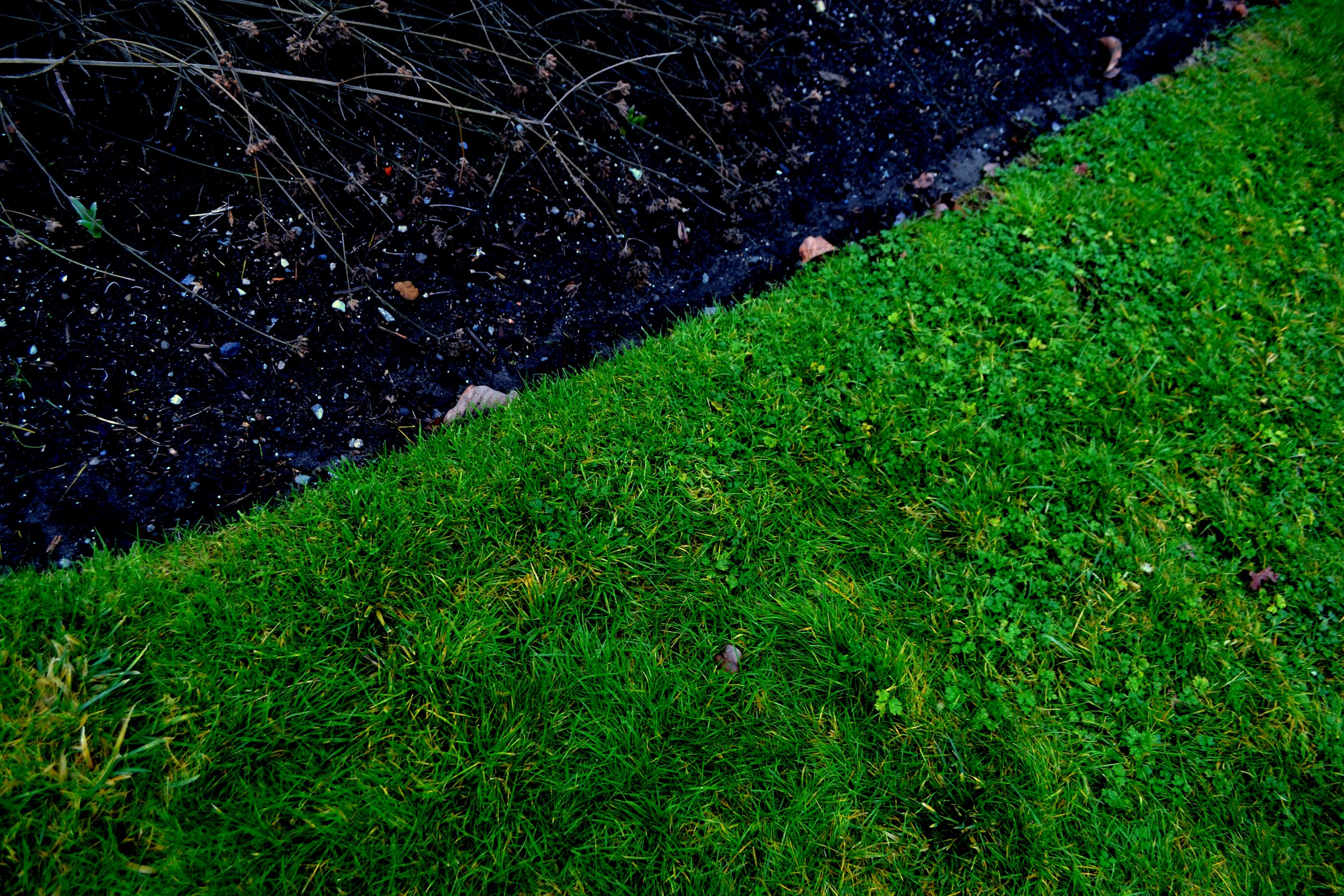 Untitled, 2022/2024, edited photography, size variable / 39 x 26 cm