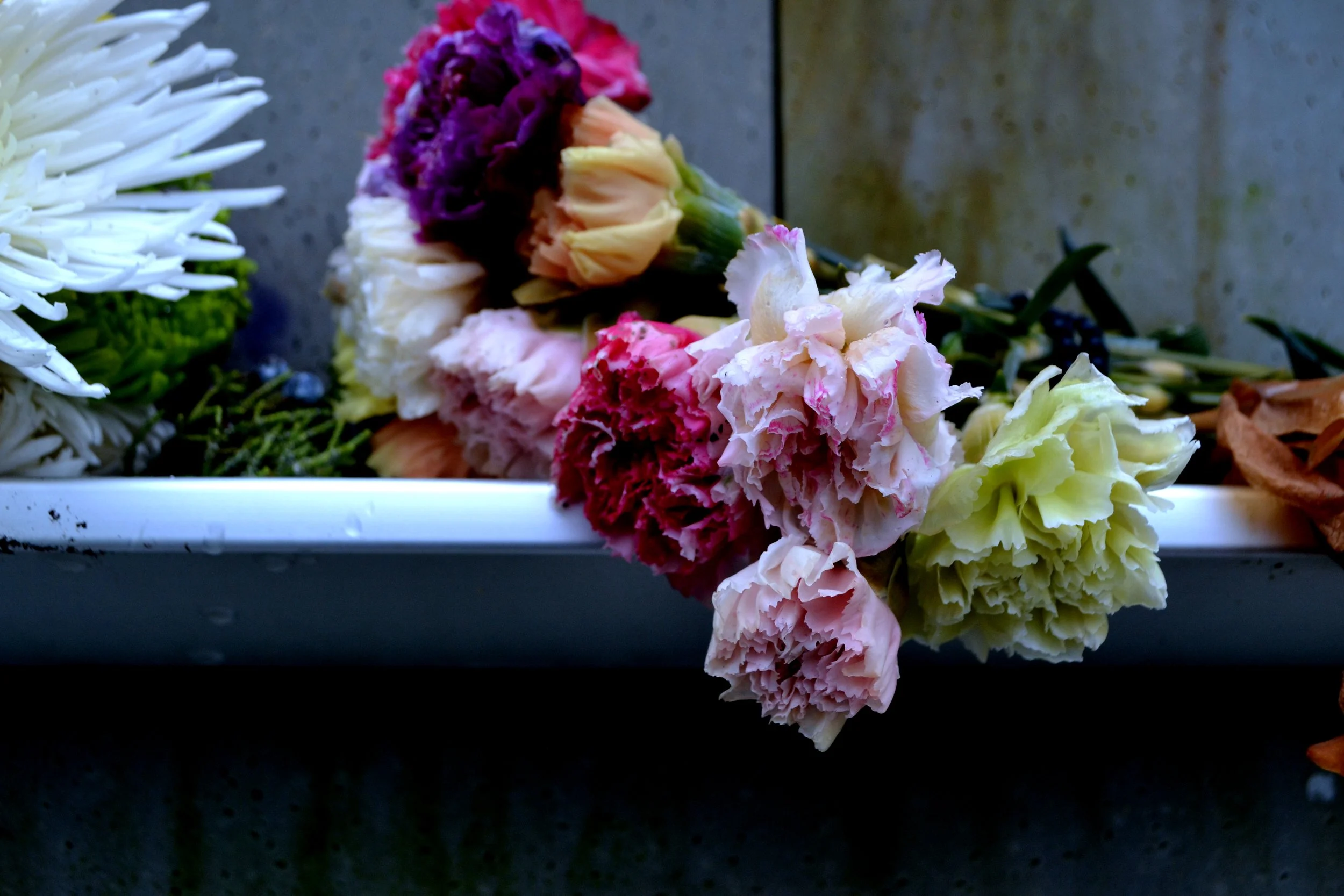 Roses_1, 2022/2024, edited photography, size variable / 39 x 26 cm