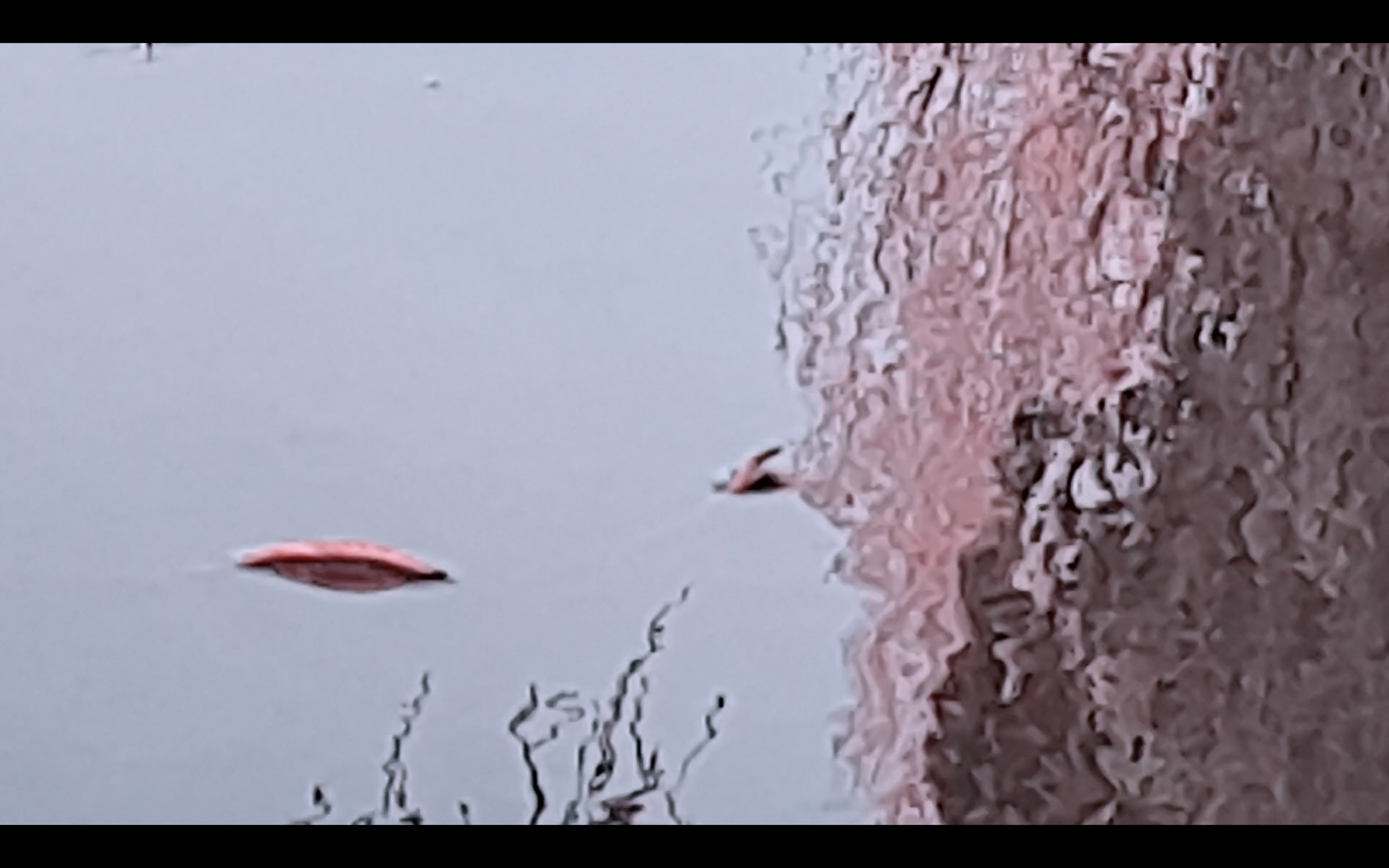 Reflective surface (2022)