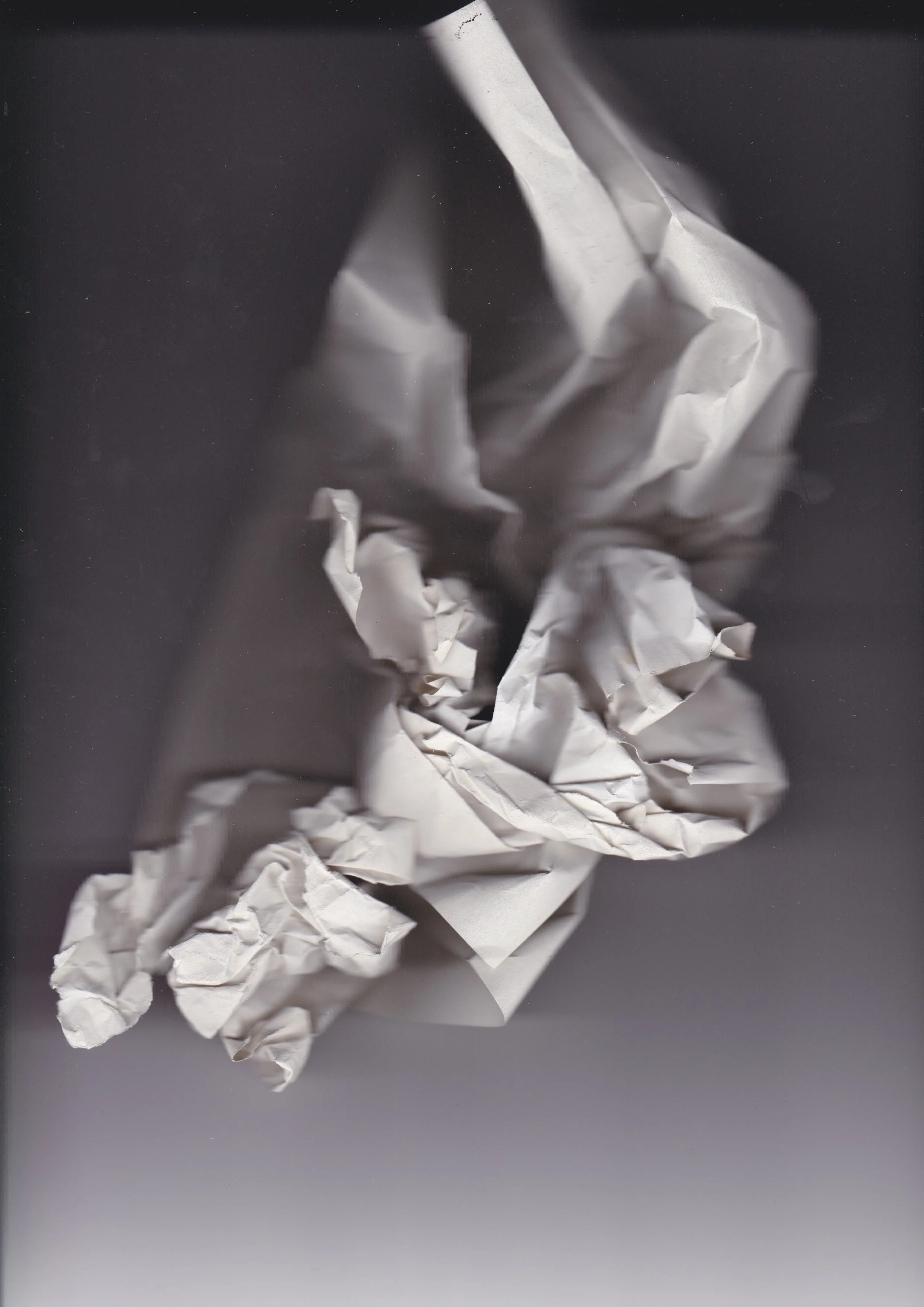 Part of Re.trace, 2019, installation, size variable