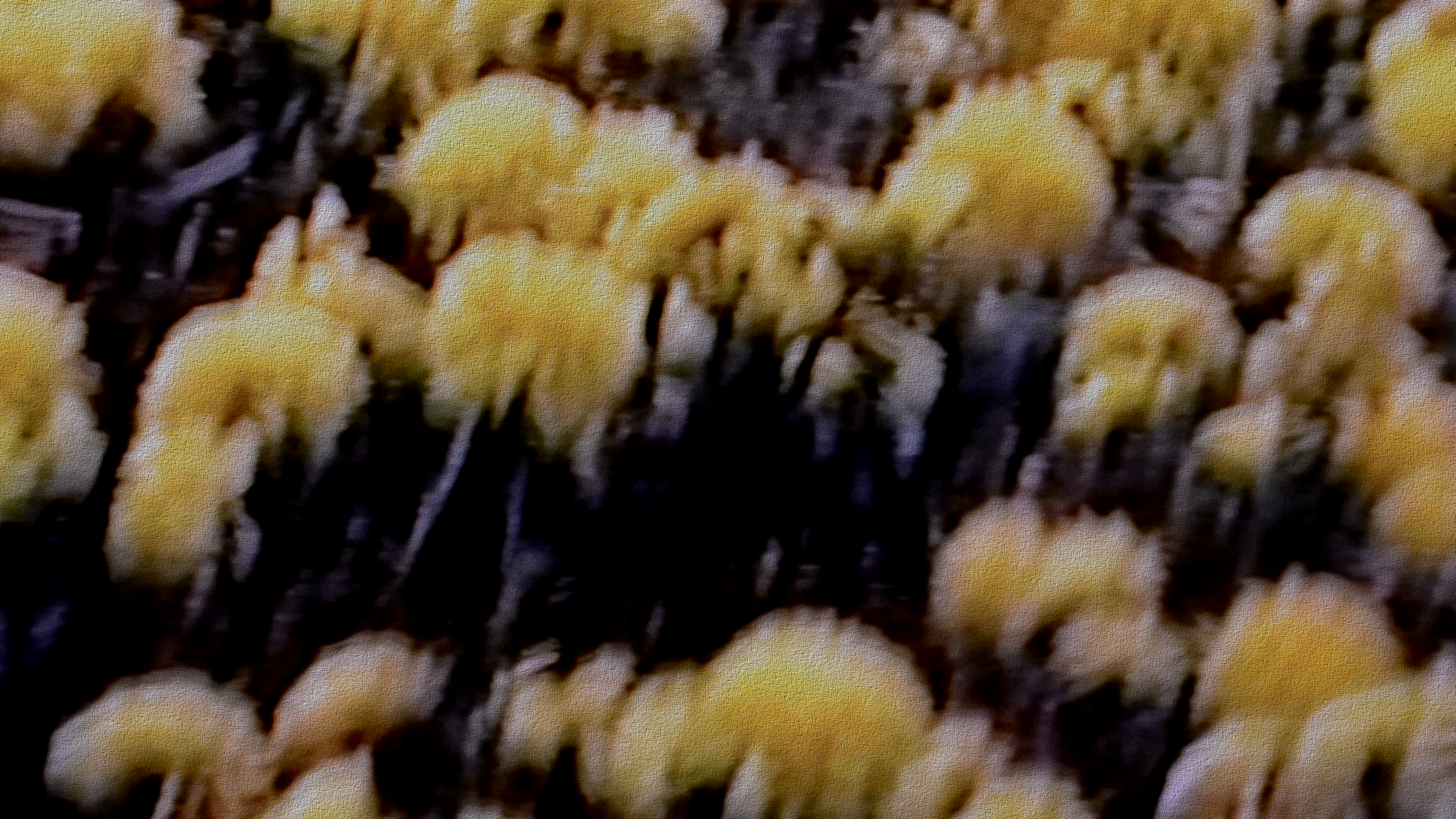 Untitled, 2026, edited video still, size variable / 59,1 x 33,2 cm