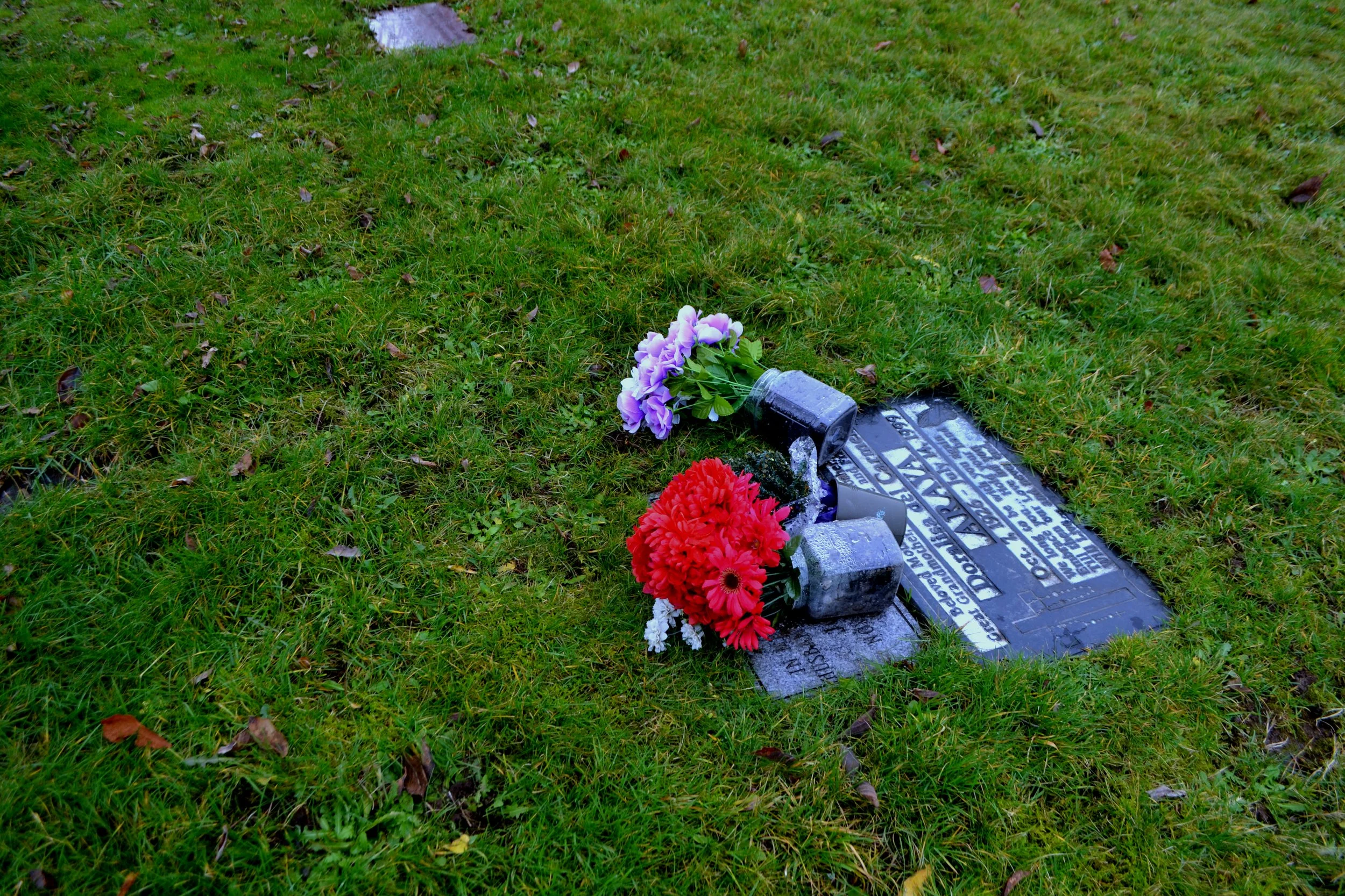 Fake plastic flowers_1, 2022/2024, edited photography, size variable / 39 x 26 cm