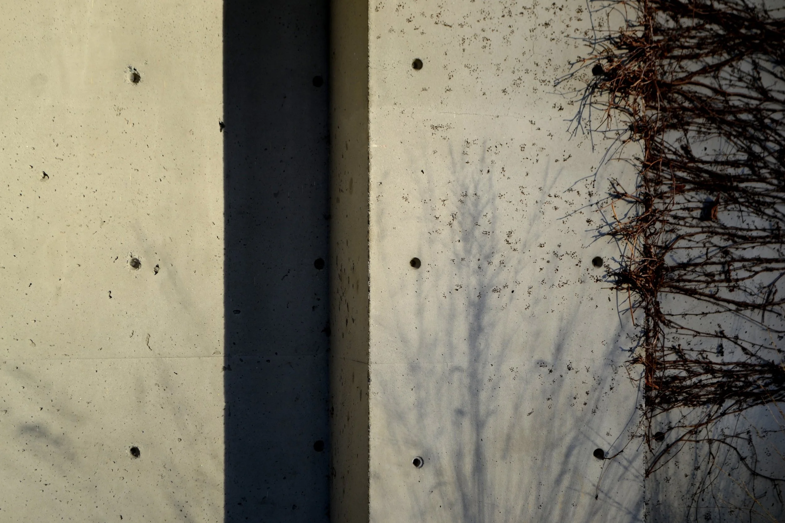 Untitled, 2022/2024, edited photography, size variable / 39 x 26 cm
