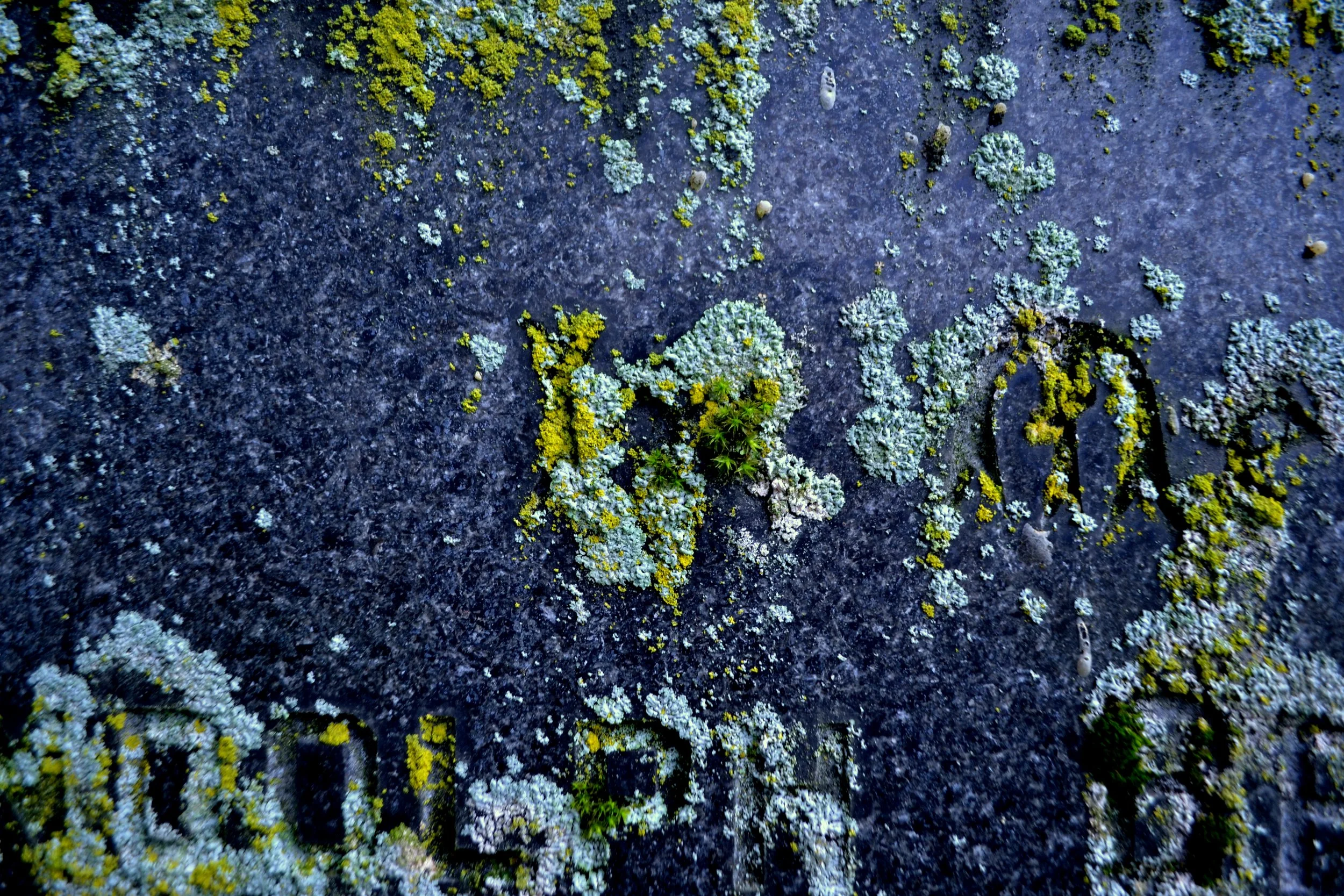 On gravestones, 2022/2024, edited photography, size variable / 39 x 26 cm