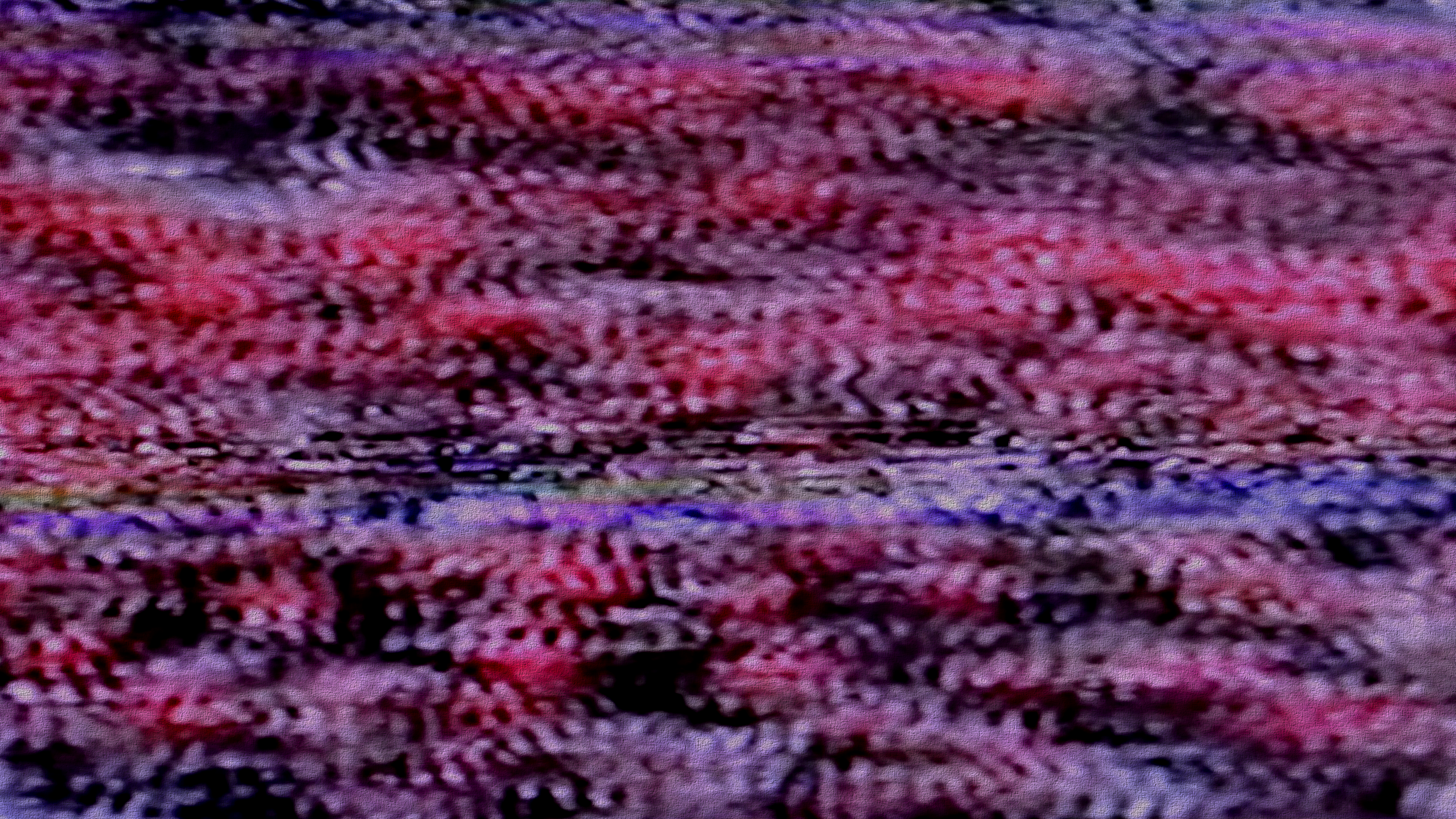 fye44b.png