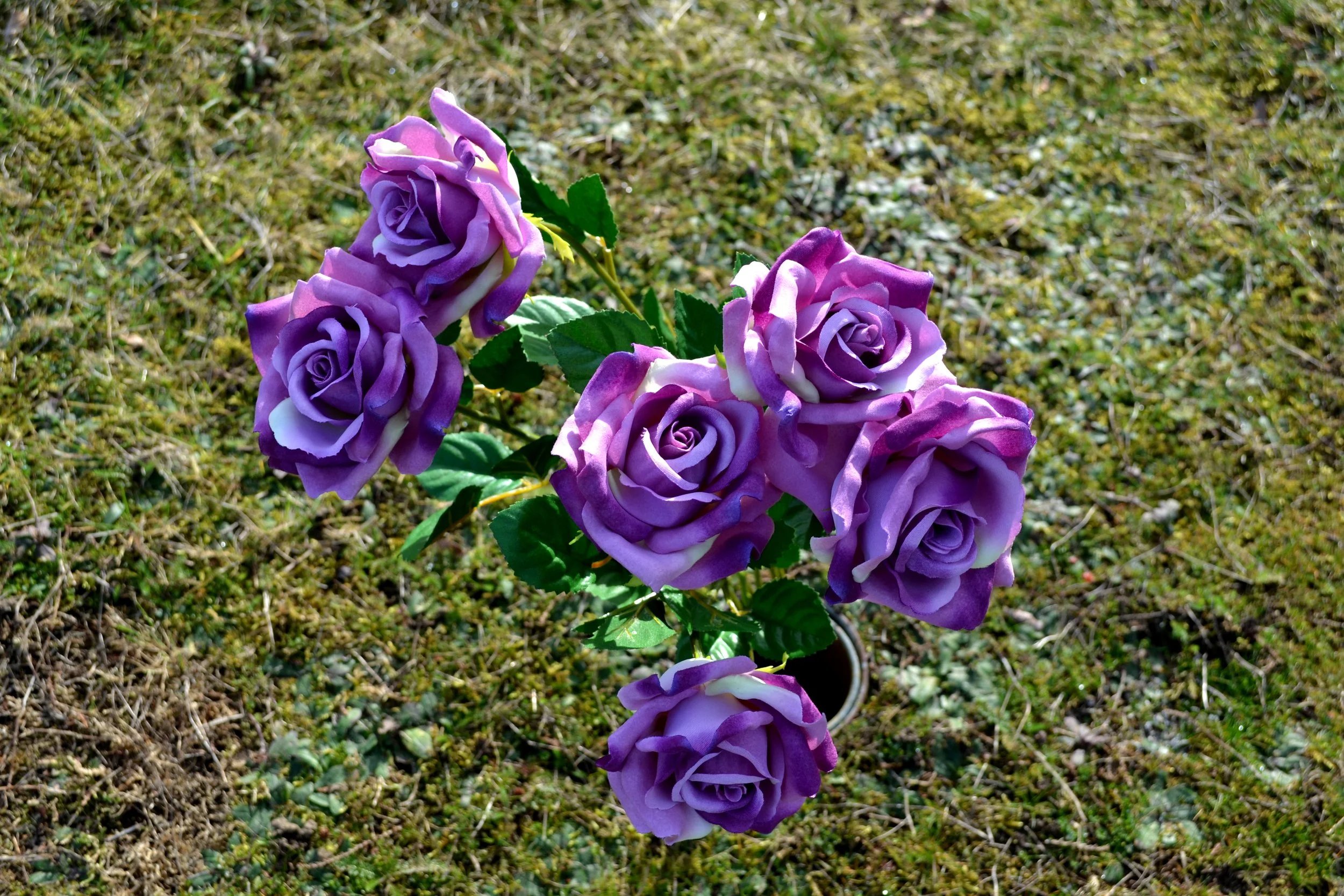 Fake plastic flowers_2, 2022/2024, edited photography, size variable / 39 x 26 cm