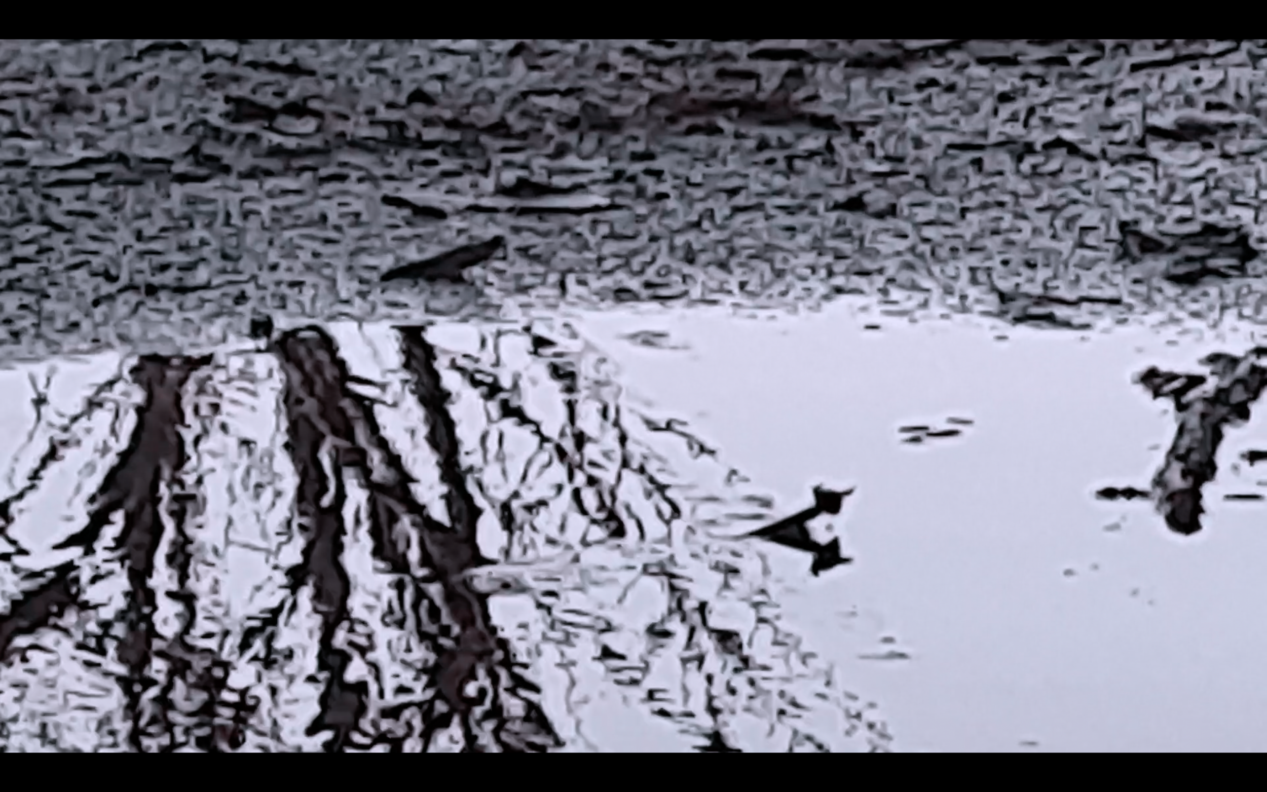 Reflective surface (2022) 