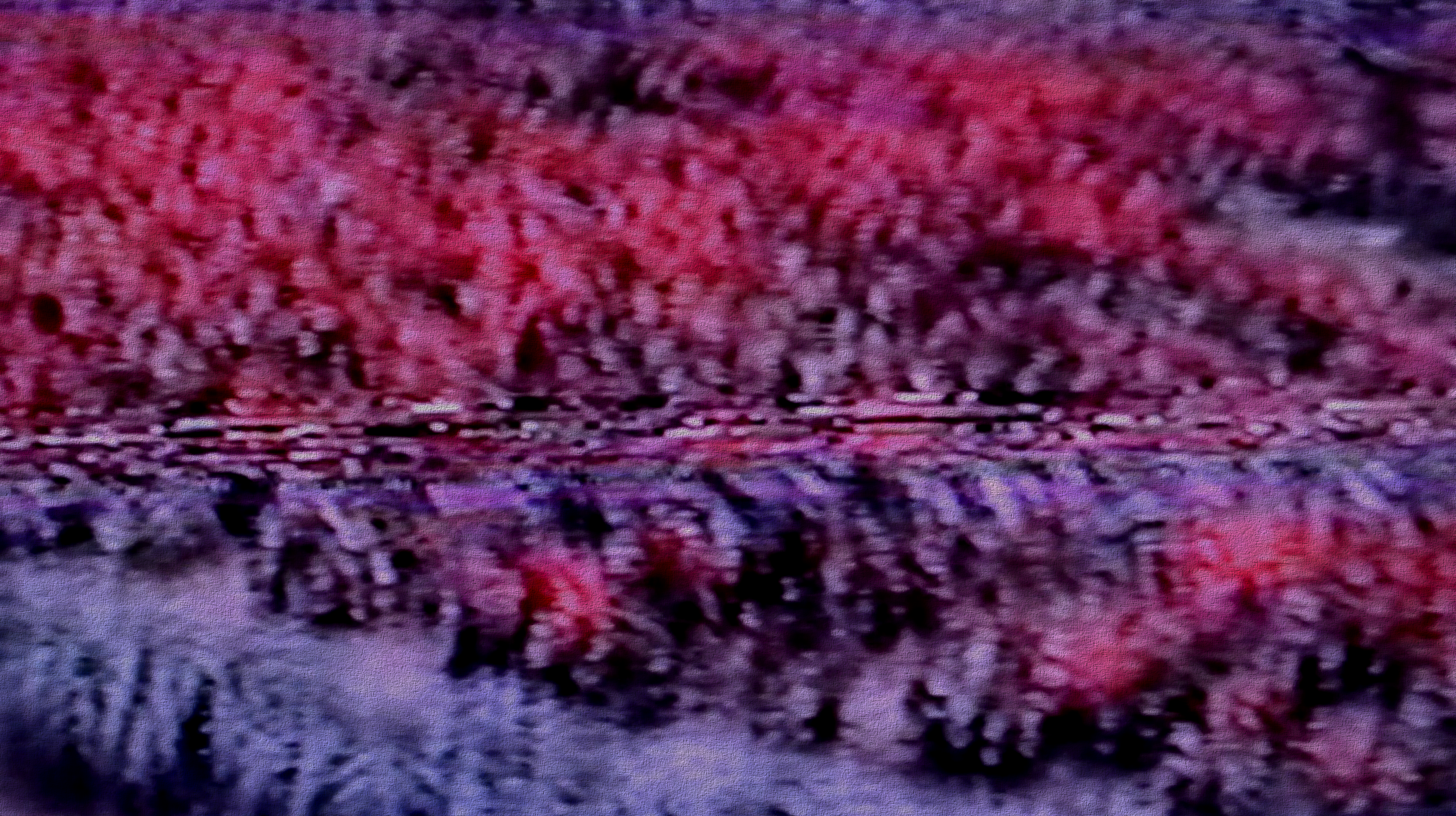 Untitled, 2026, edited video still, size variable / 59,1 x 33,2 cm