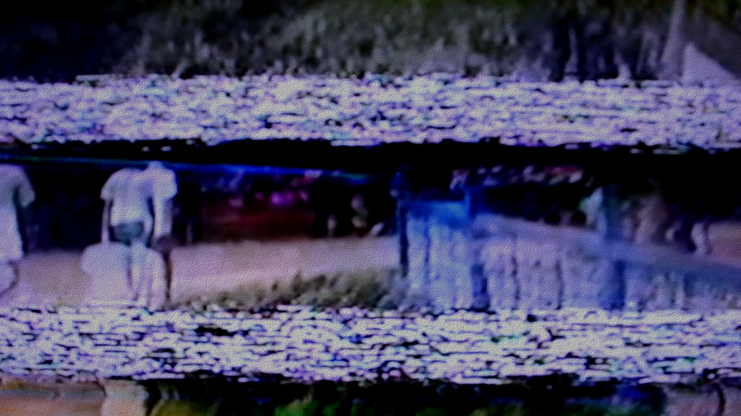 Untitled, 2026, edited video still, size variable / 59,1 x 33,2 cm