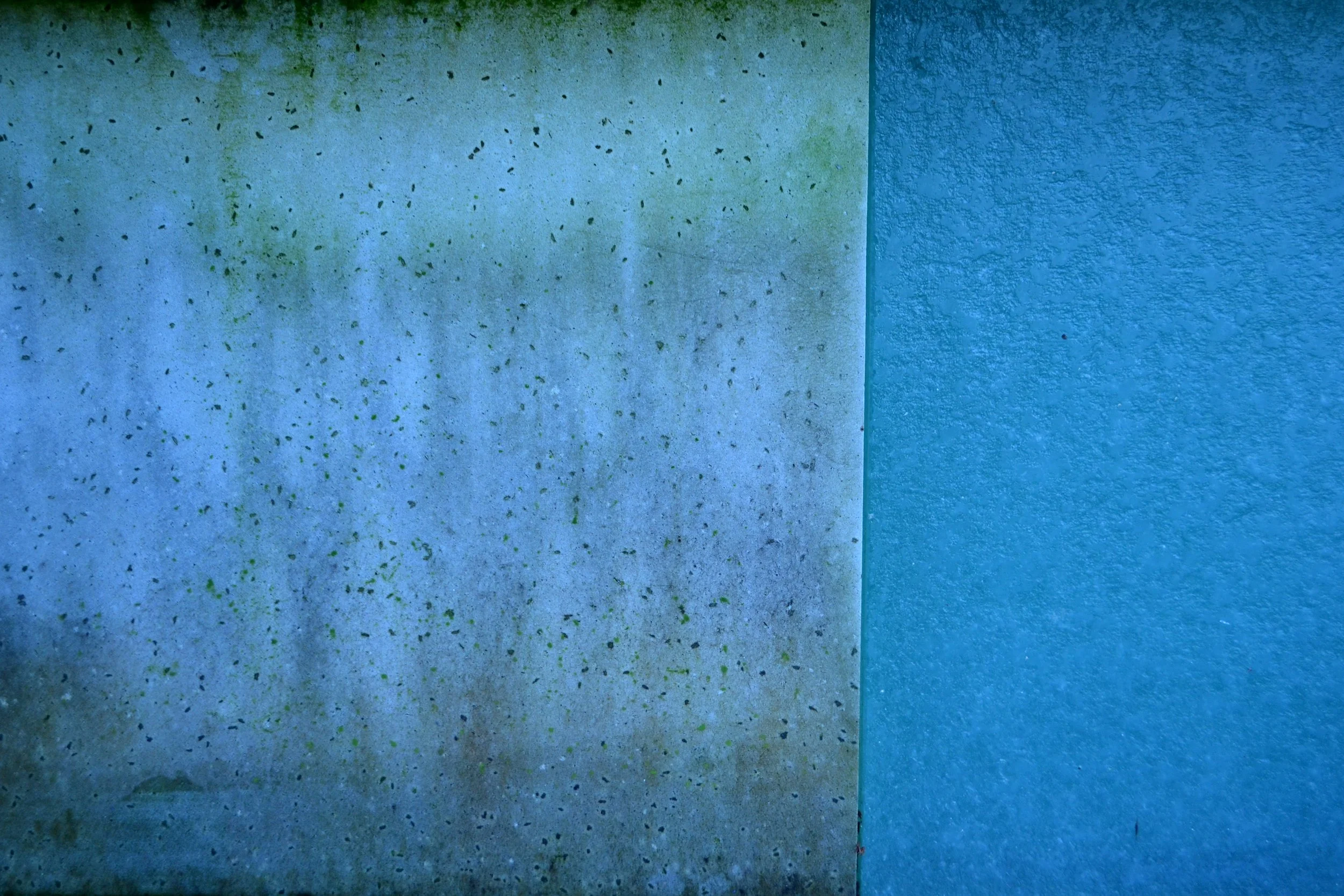 Untitled, 2022/2024, edited photography, size variable / 39 x 26 cm