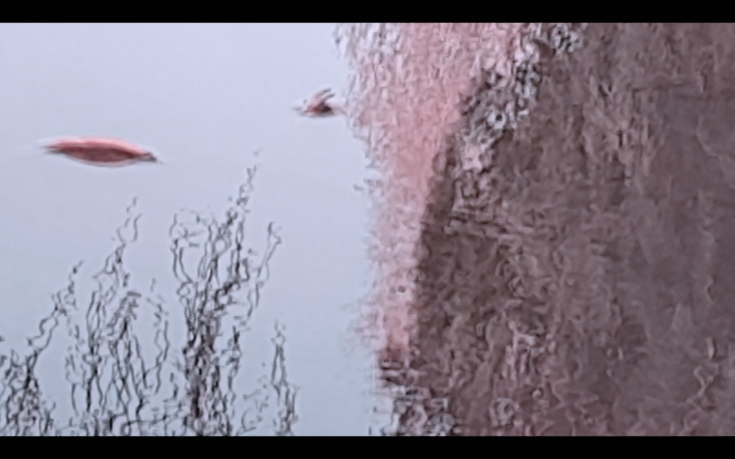 Reflective surface (2022)