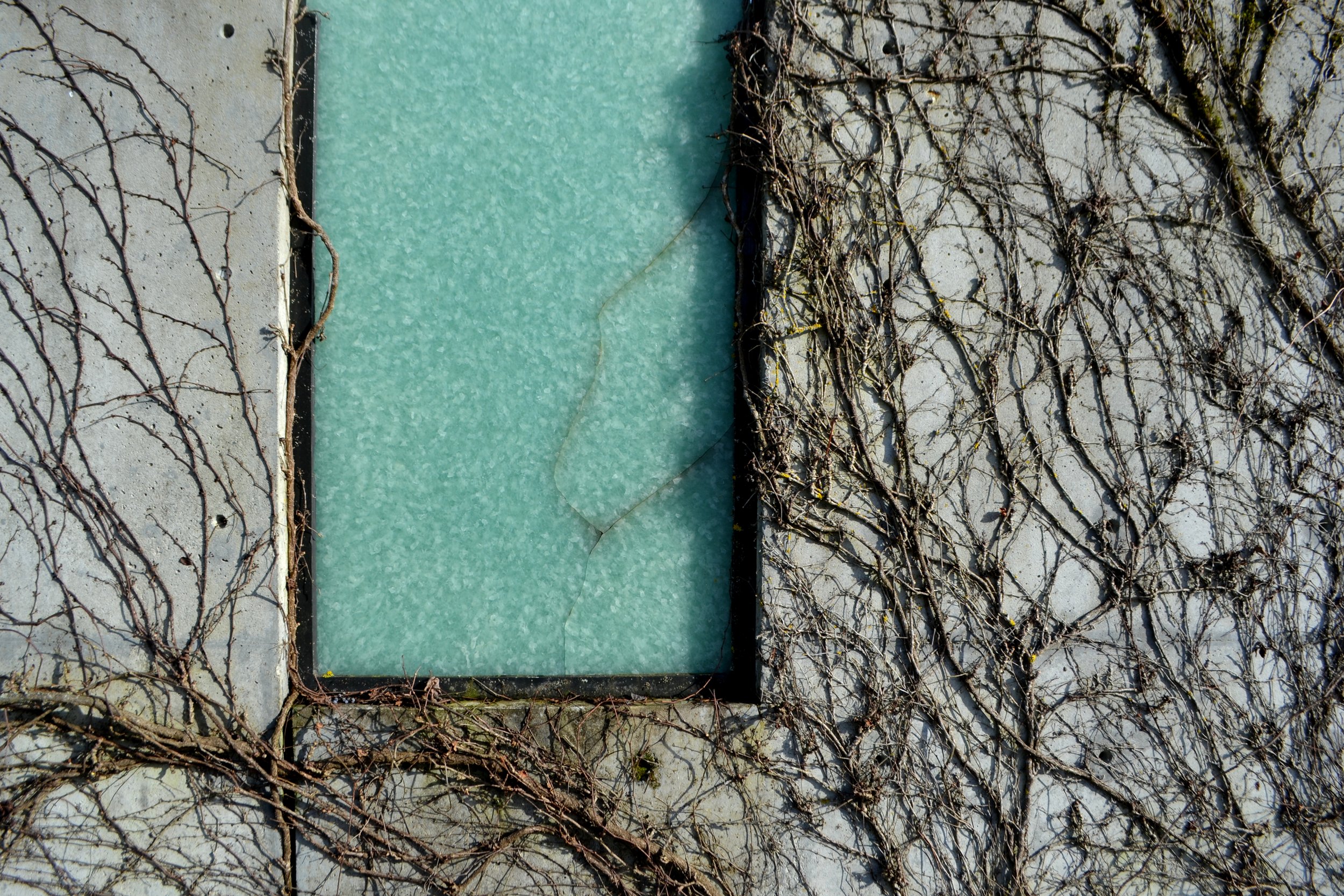 Untitled, 2022/2024, edited photography, size variable / 39 x 26 cm