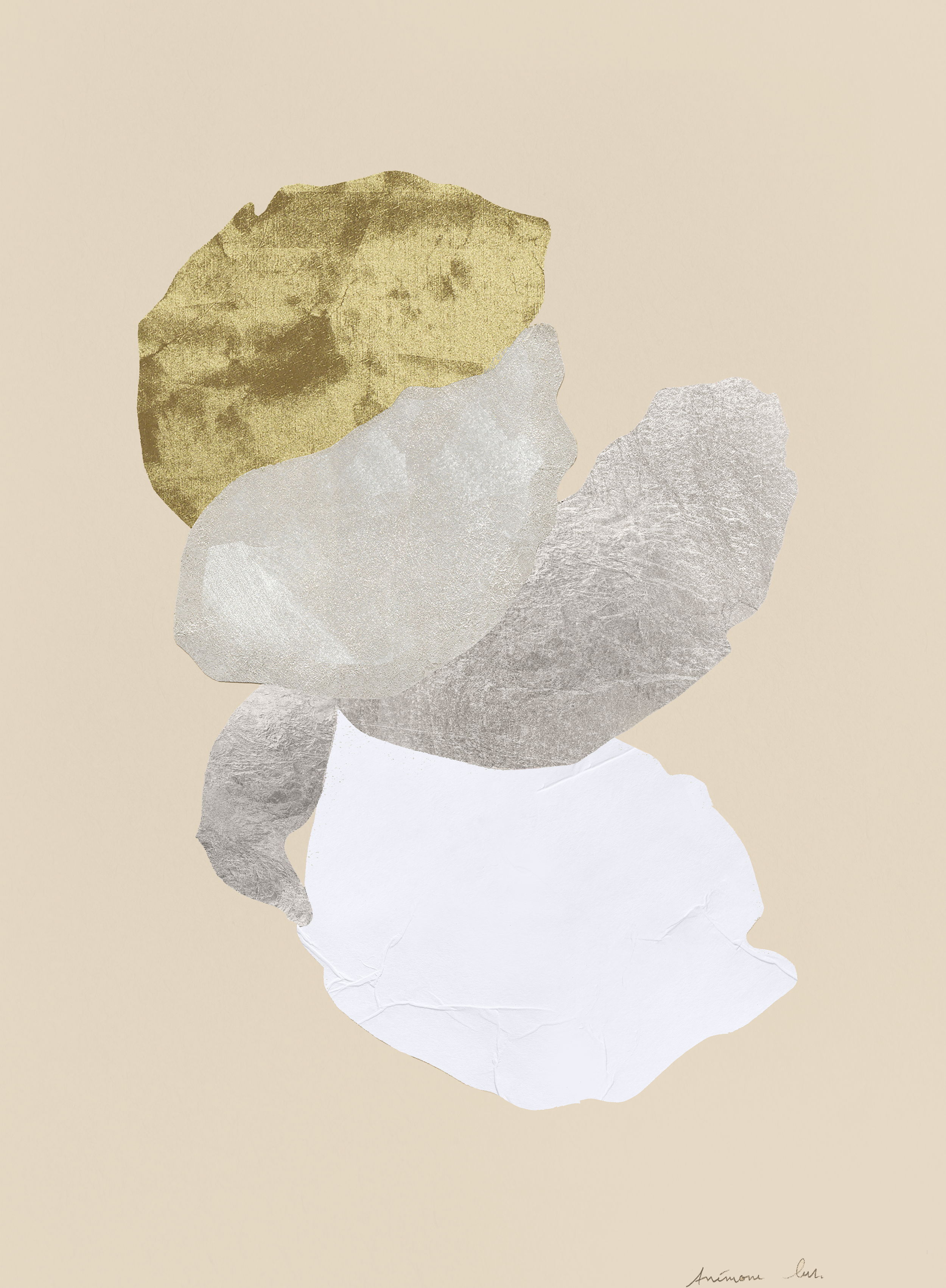 anemone2_2023 copie.png