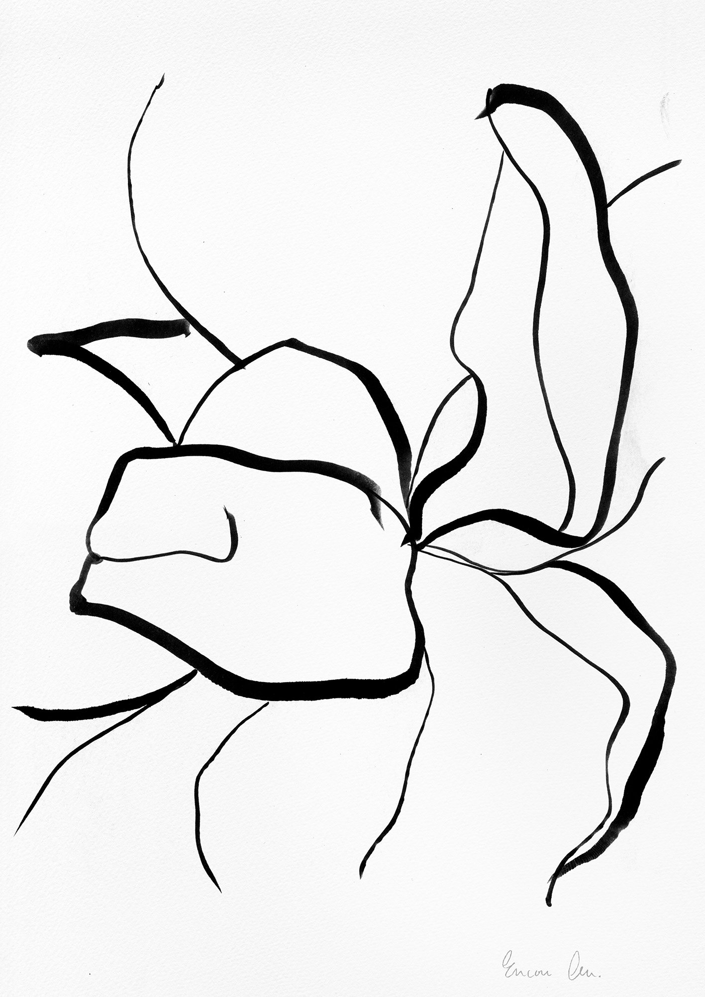 dessinlola5 copie_encore.jpg