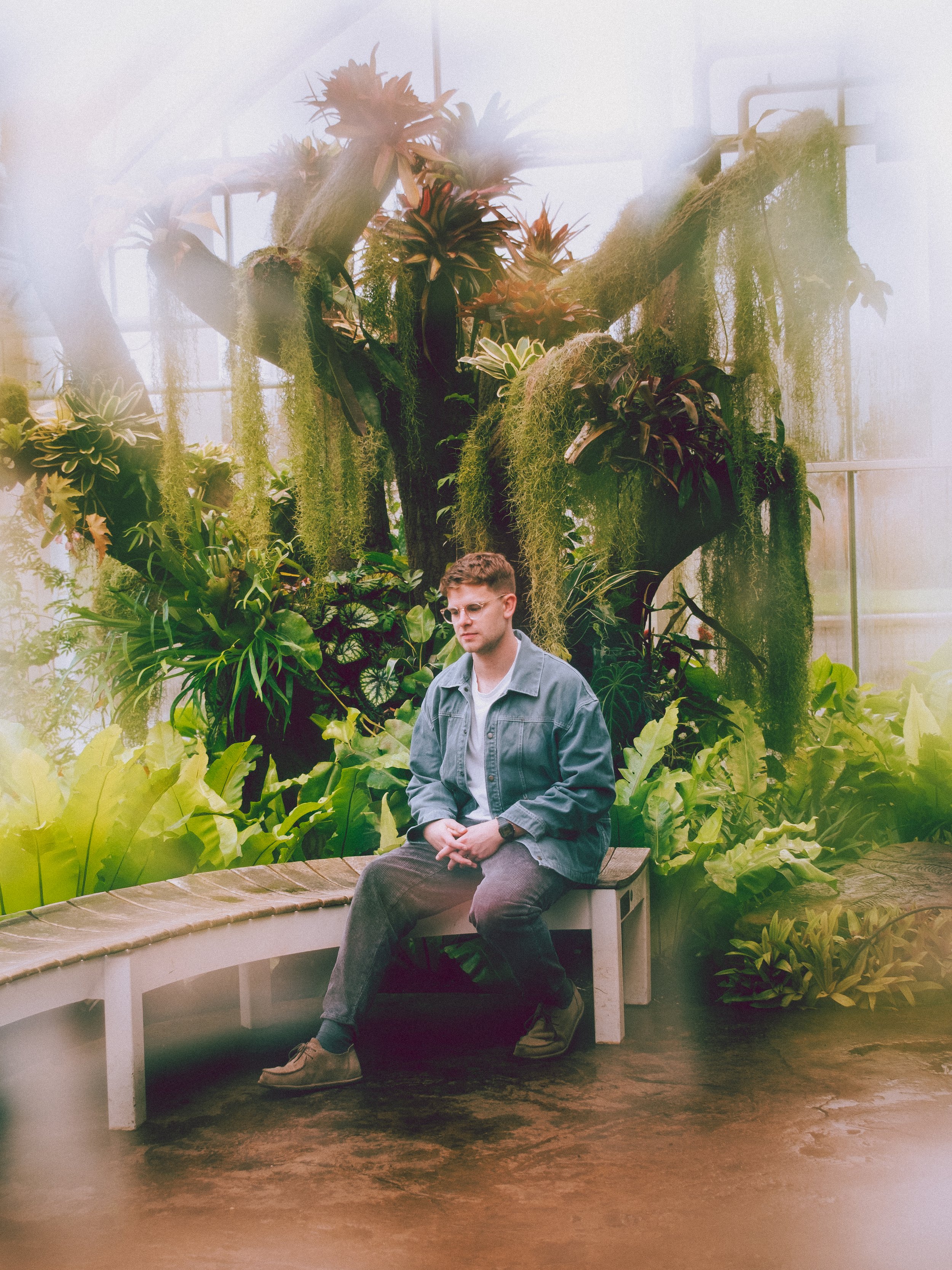 A young man sitting on a white curved bench in a lush, green greenhouse surrounded by large tropical plants and moss-draped trees.