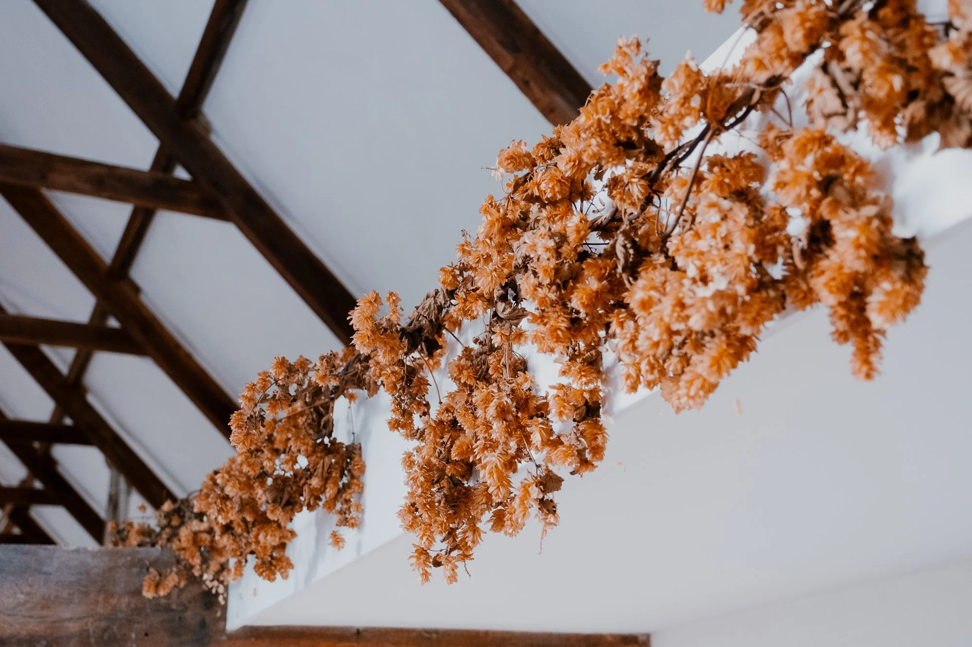 Lamont Wedding-360.jpeg