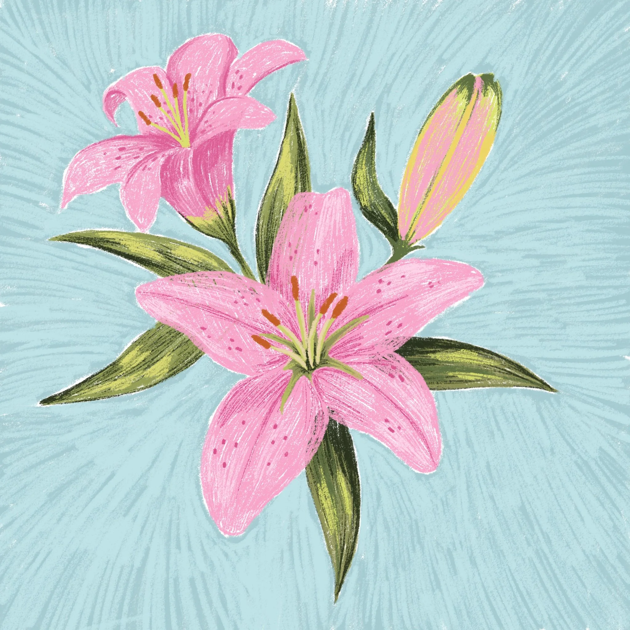 Untitled_Artwork 31.jpg